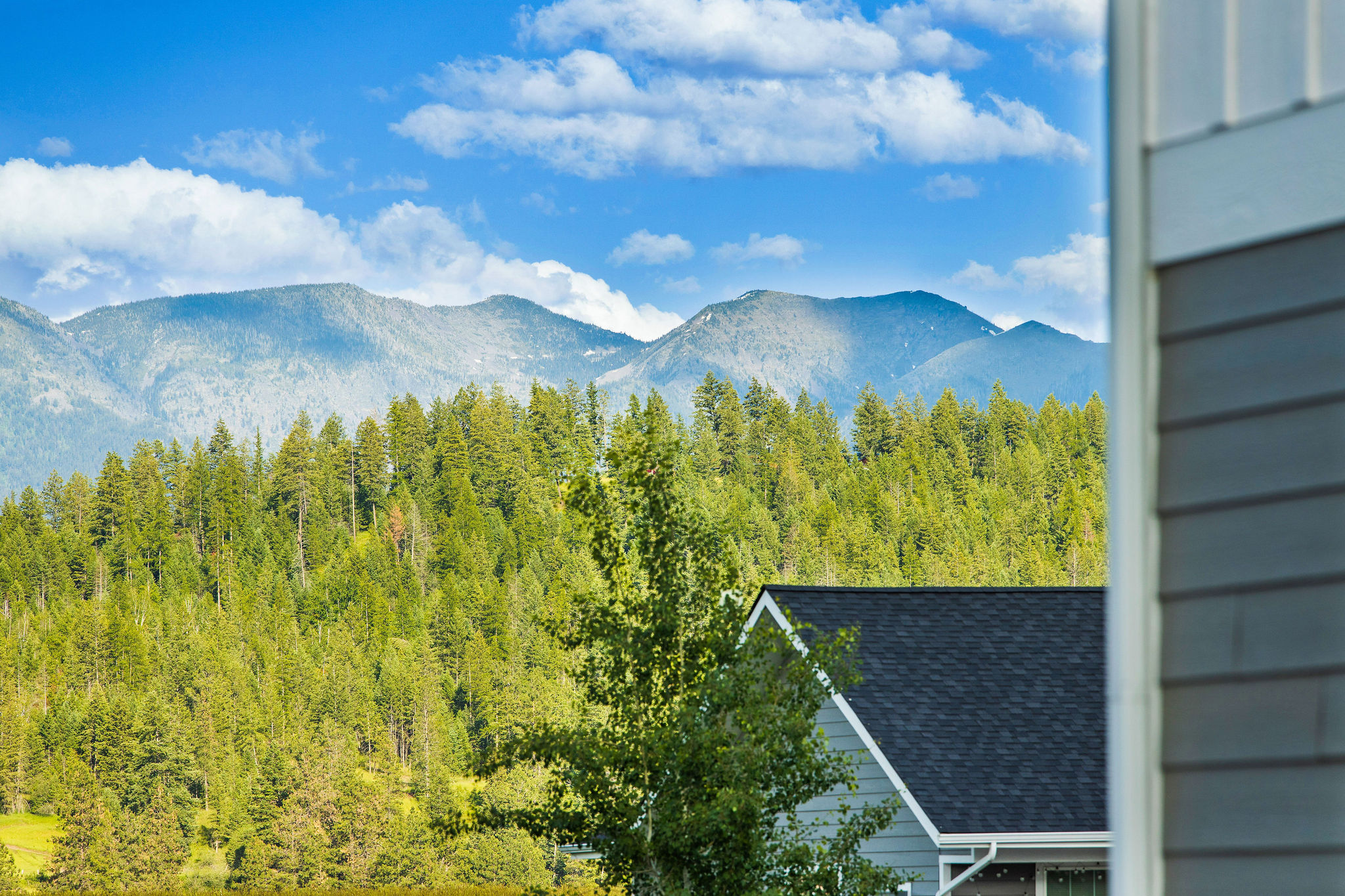 138 Jewel Basin Court Property Photo 12