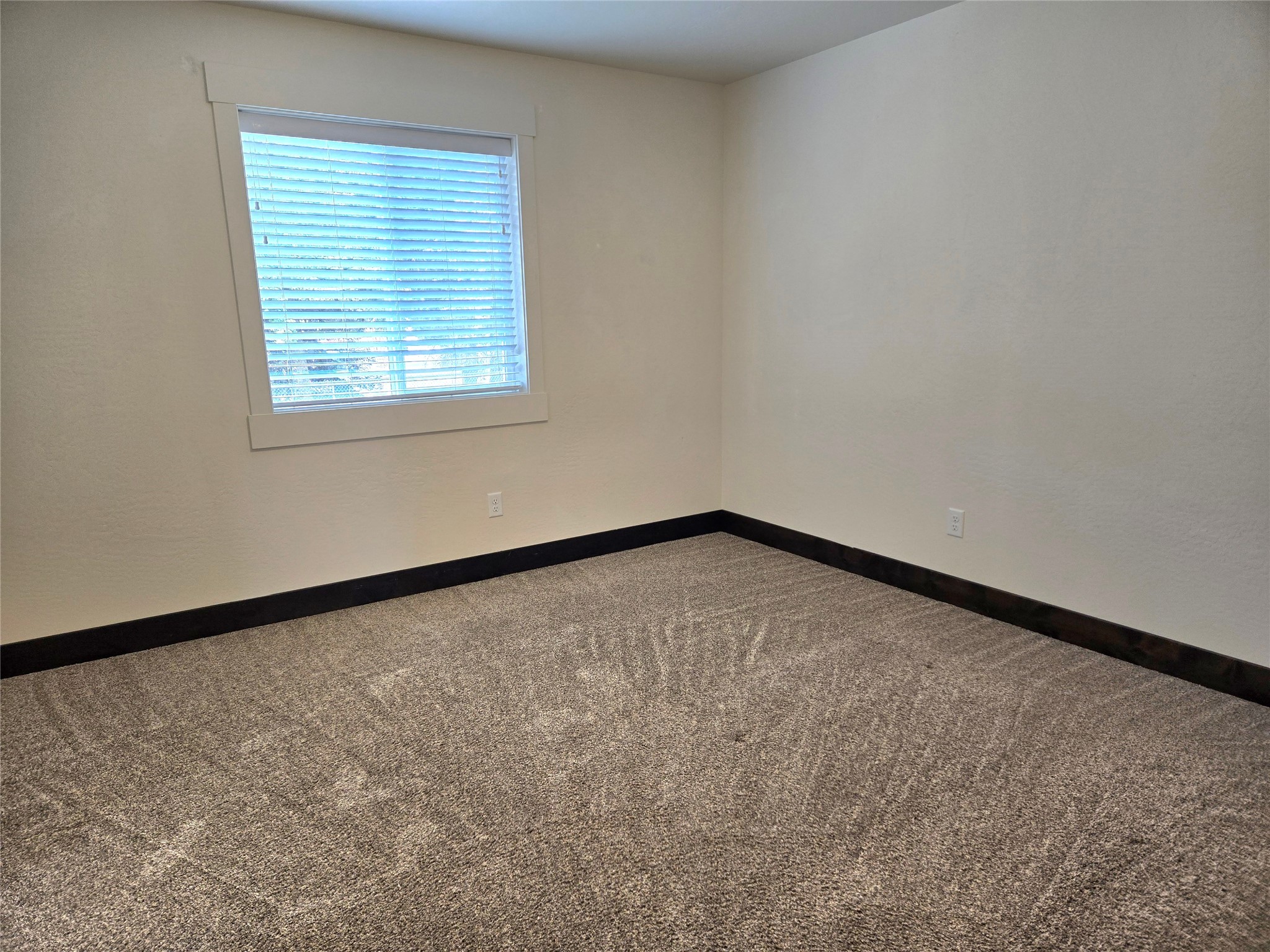 138 Jewel Basin Court Property Photo 17
