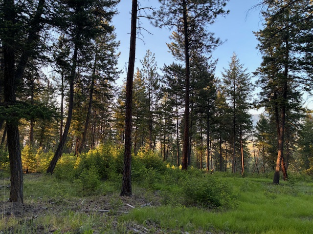 148 Tiny Acres Trail Property Photo 6