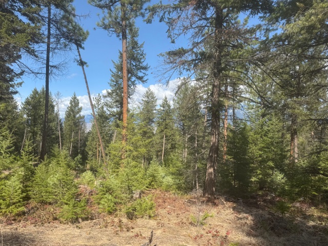 148 Tiny Acres Trail Property Photo 7