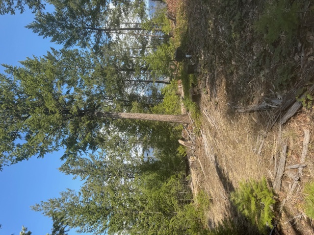 148 Tiny Acres Trail Property Photo 12