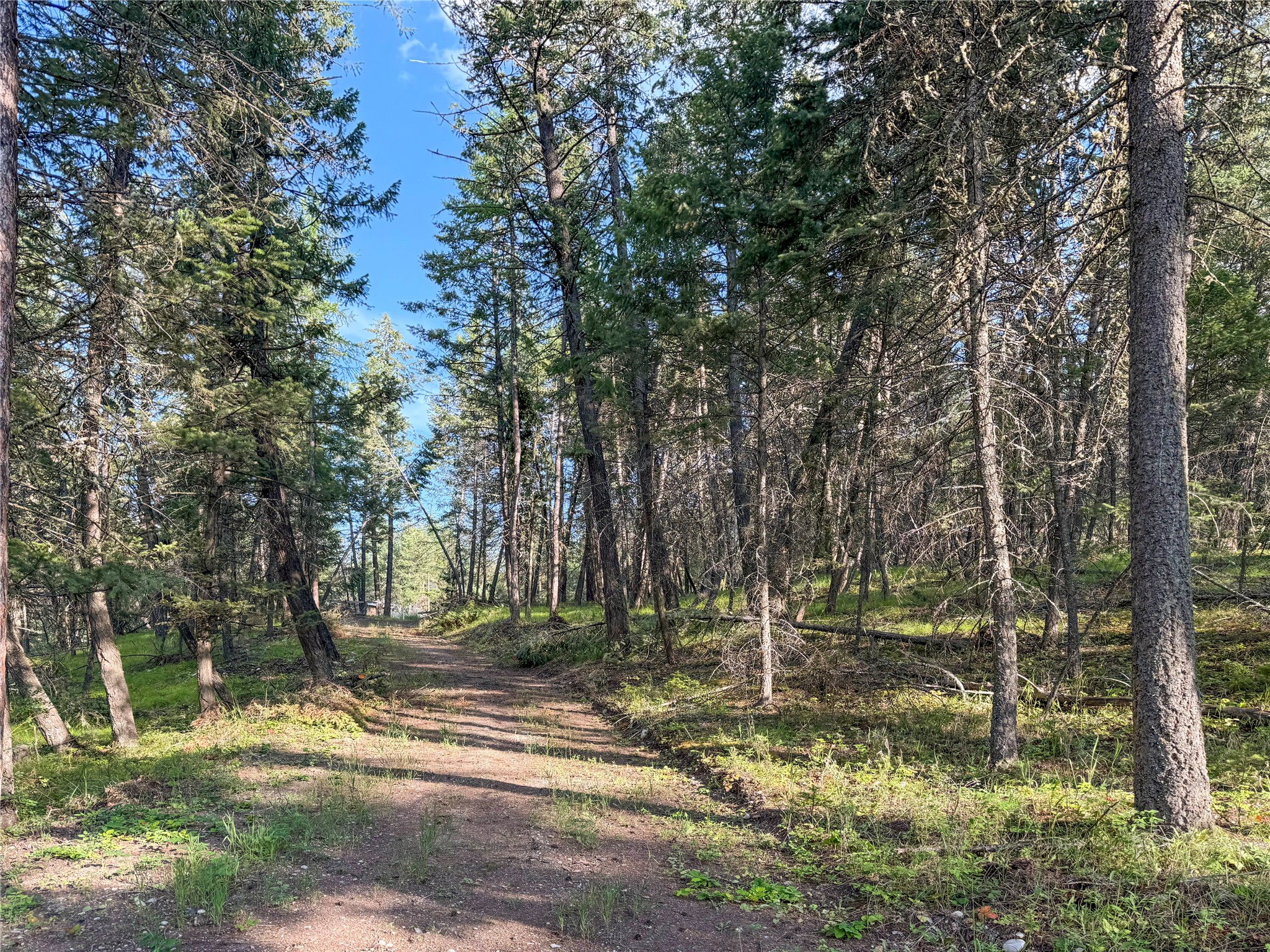 148 Tiny Acres Trail Property Photo 15