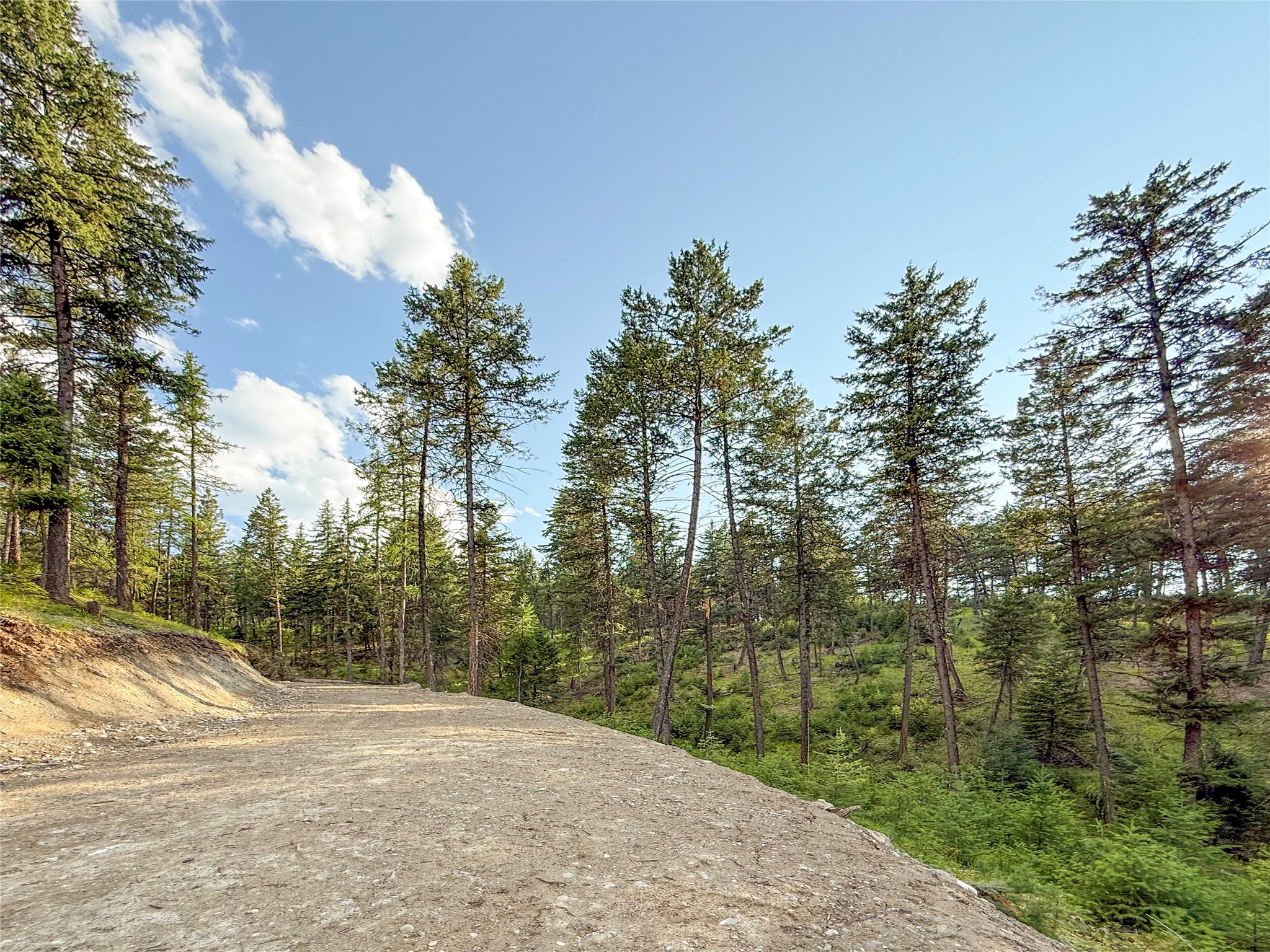 148 Tiny Acres Trail Property Photo 16