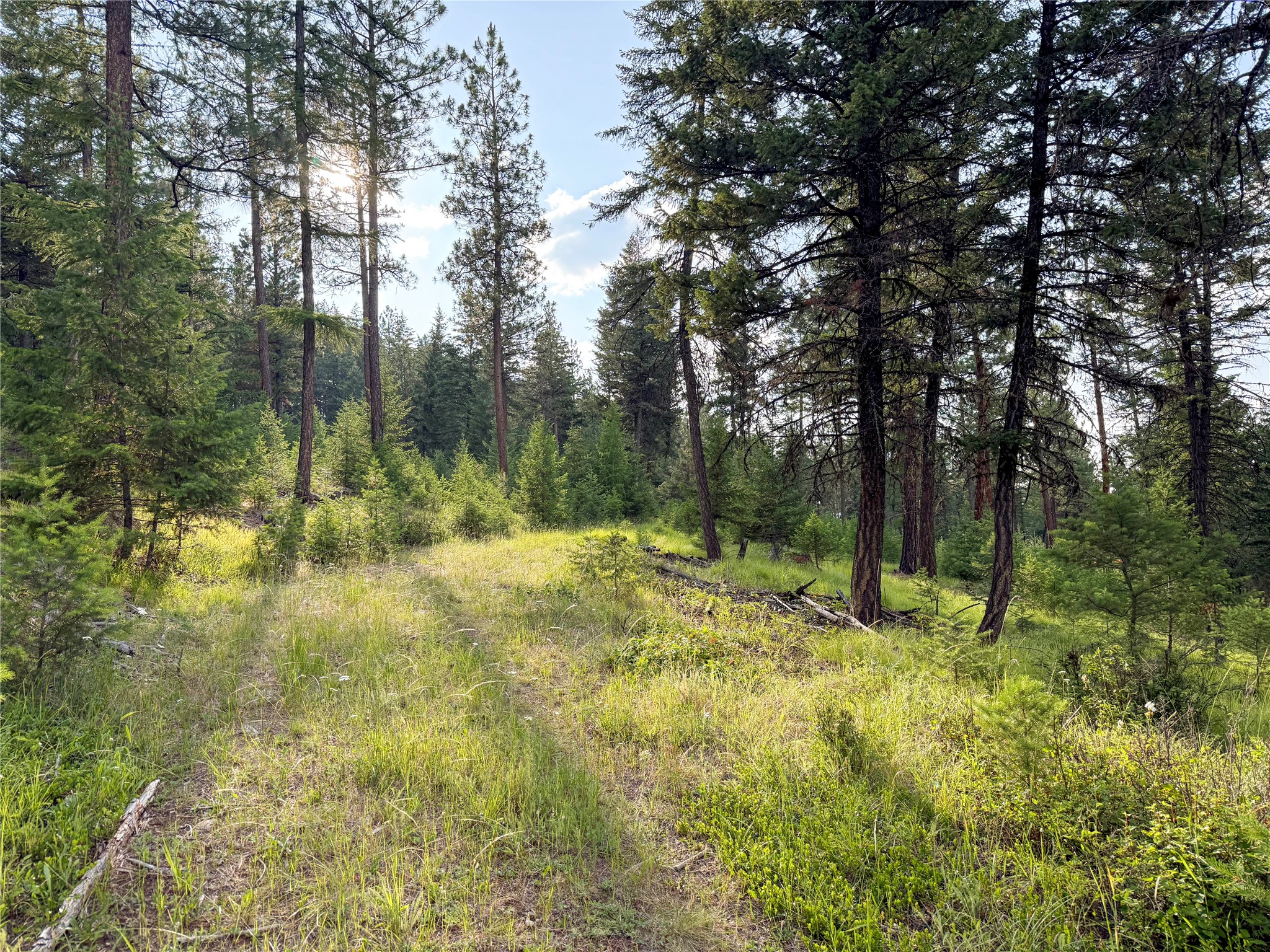 148 Tiny Acres Trail Property Photo 20