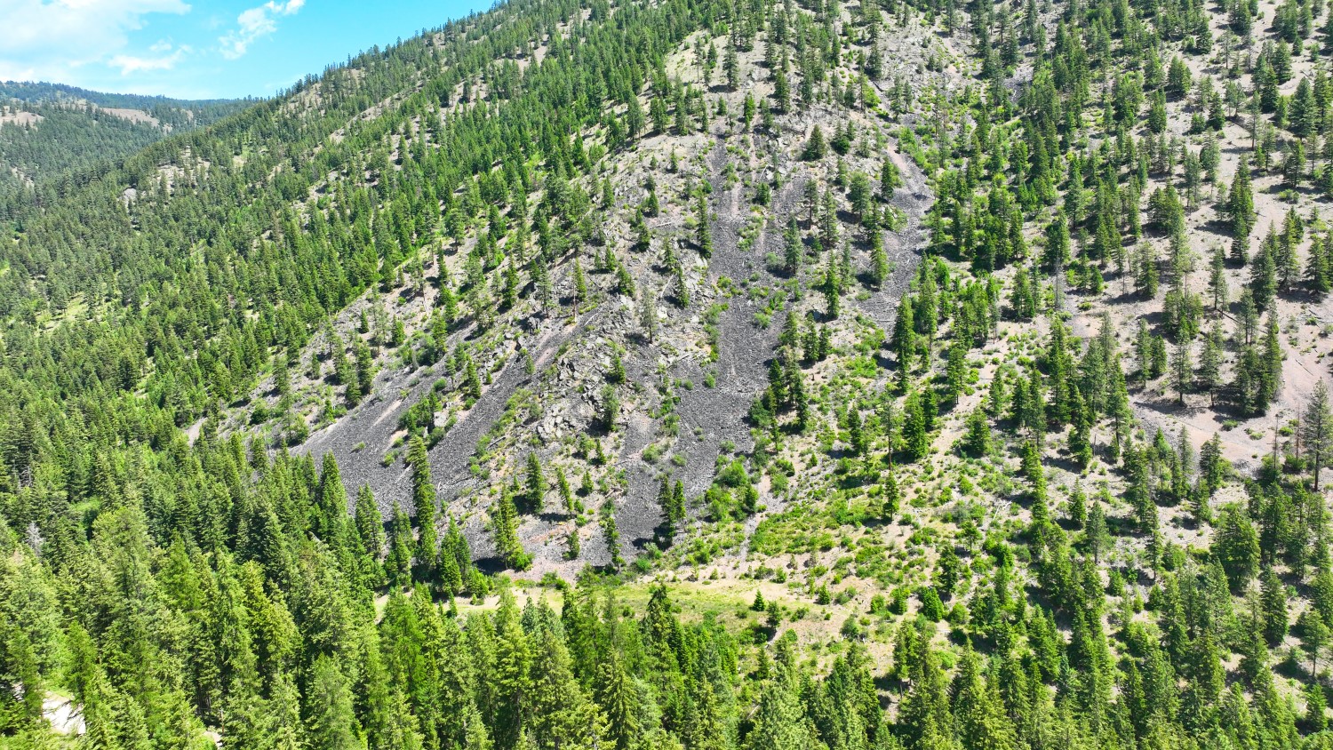 Nhn W Mountain Creek Road 3 Property Photo 10