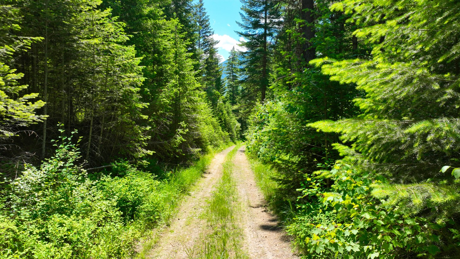 Nhn W Mountain Creek Road 3 Property Photo 13