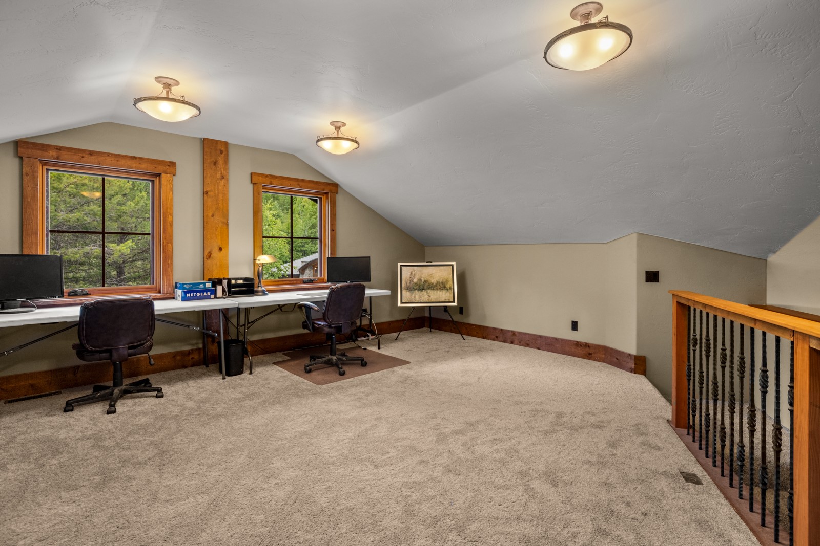 1725 Lion Mountain Drive Property Photo 42