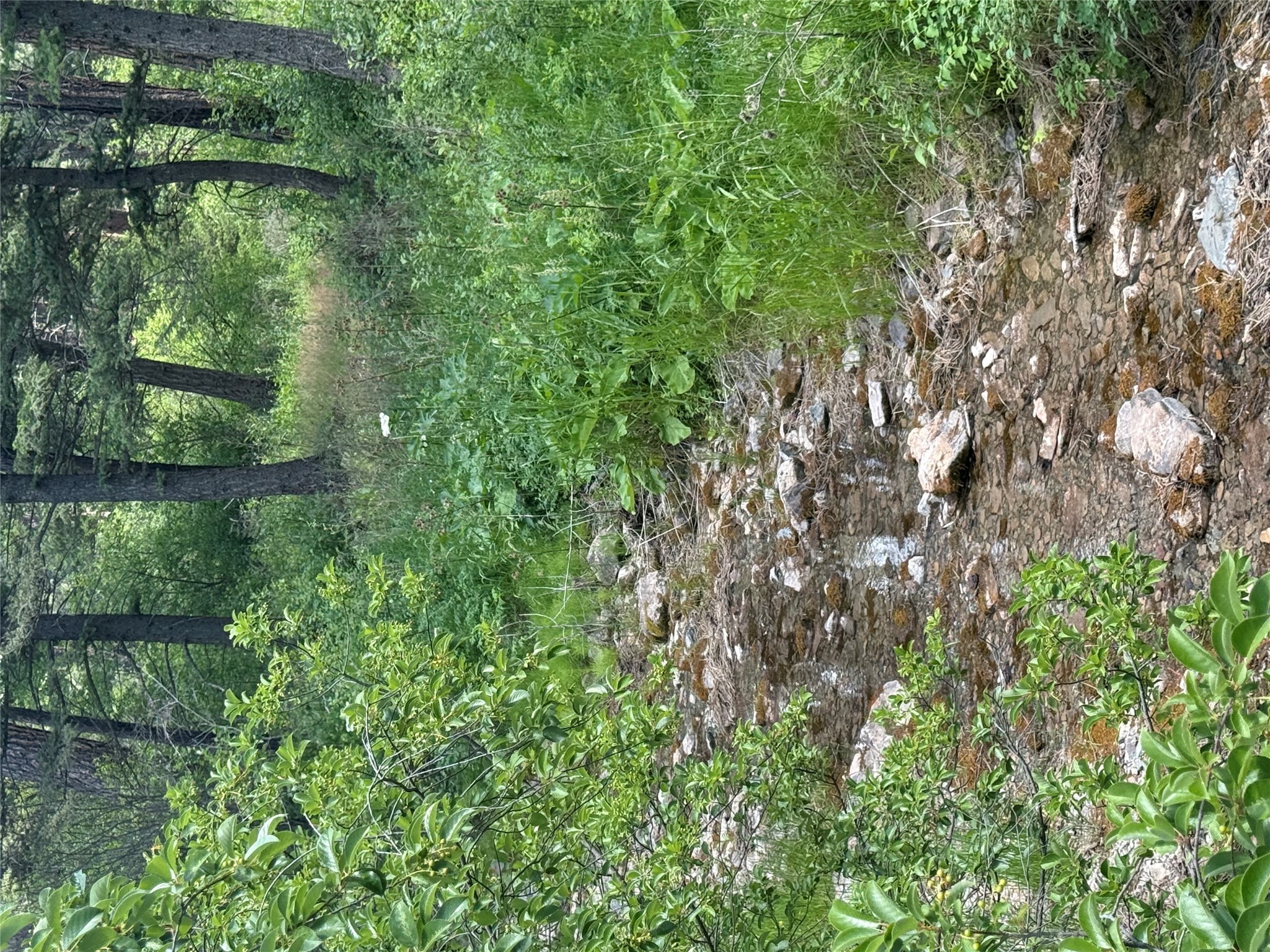 Nhn Little Wolf Creek Road Property Photo