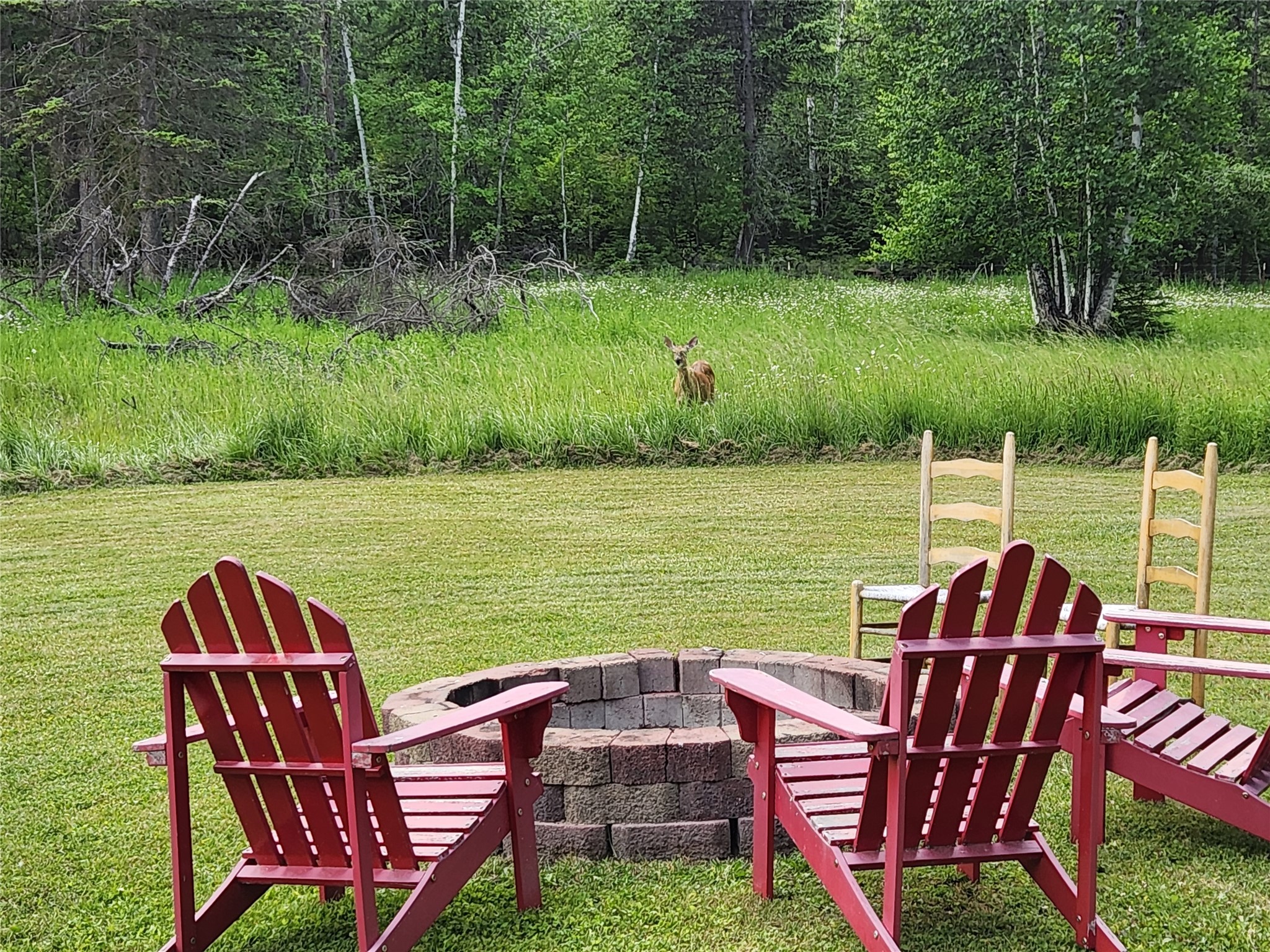 1970 Benchmark Lane Property Photo 2