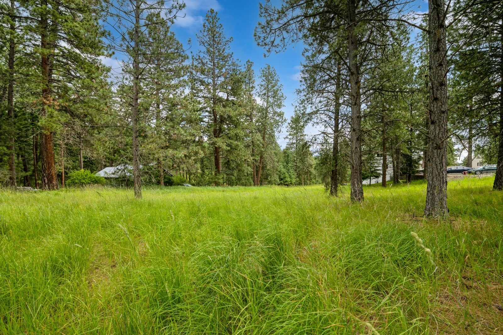 234 Stage Ridge Road Property Photo 1