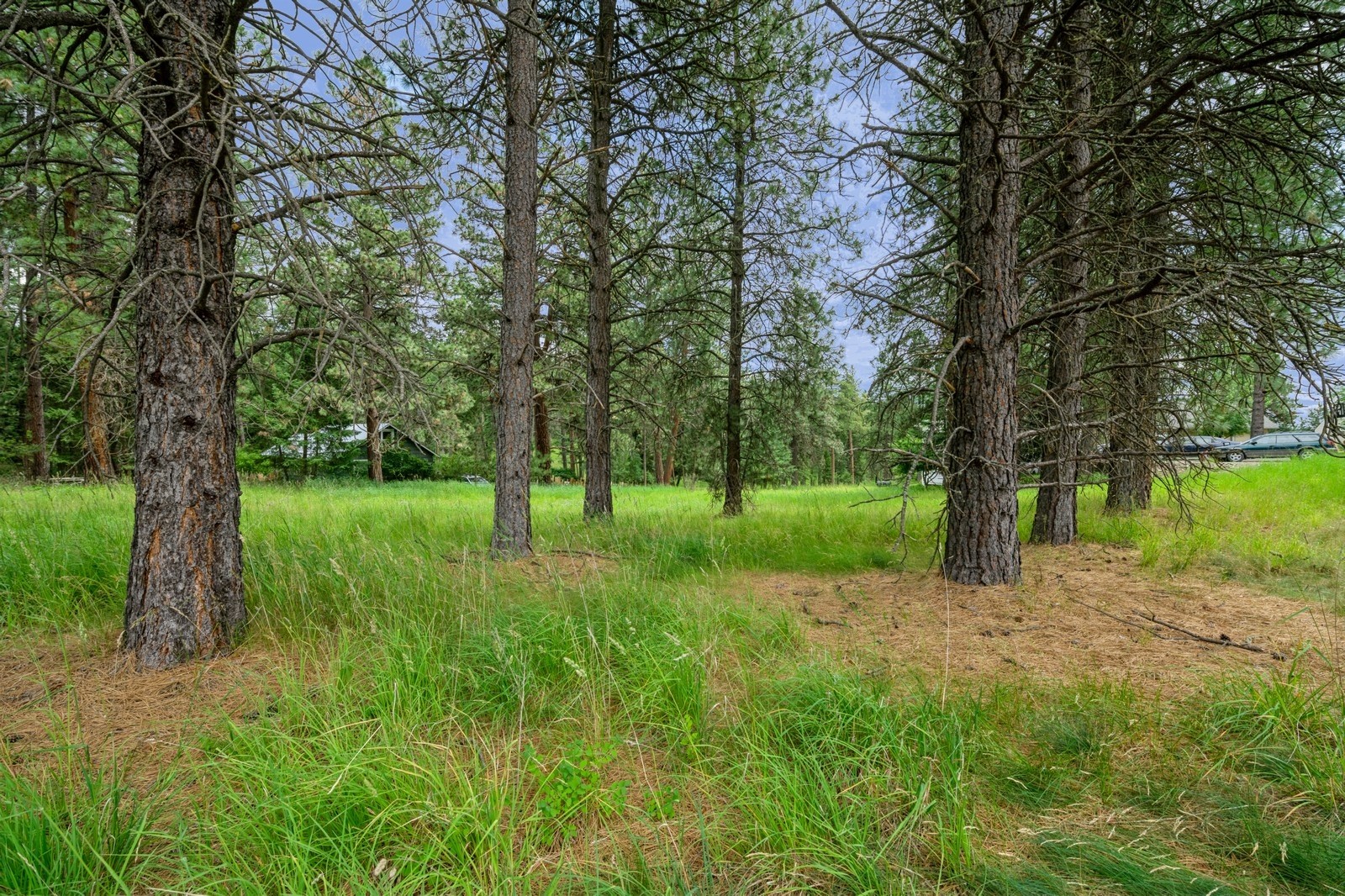 234 Stage Ridge Road Property Photo 2