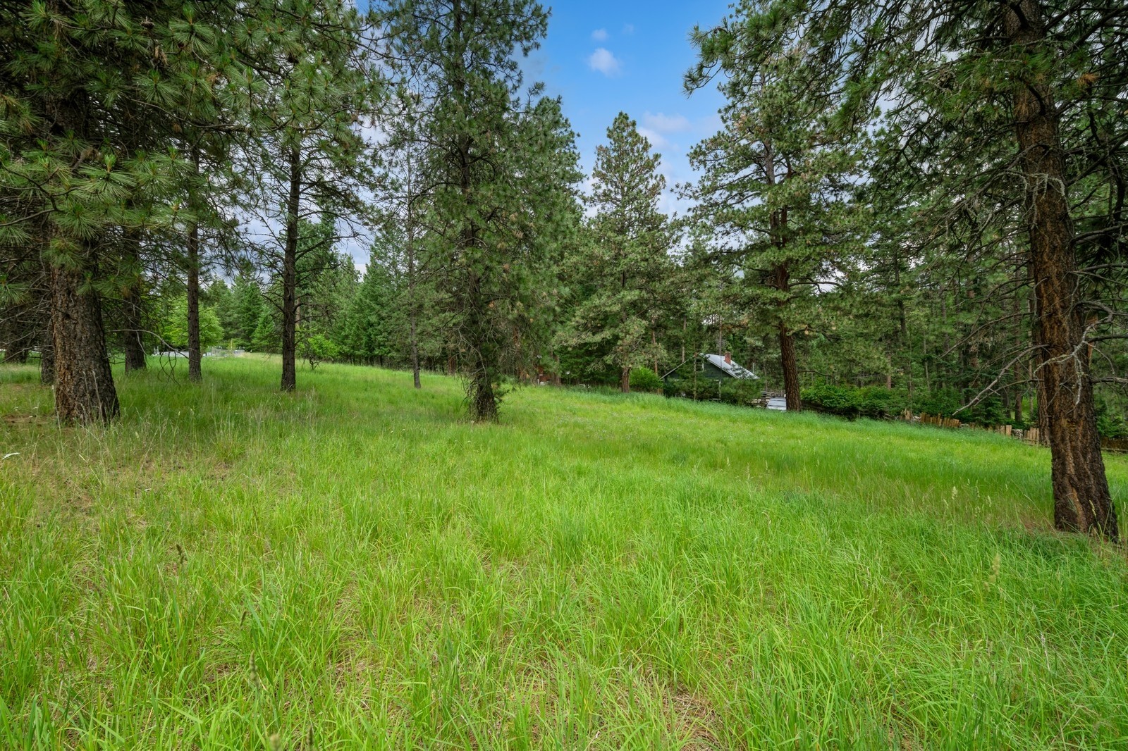 234 Stage Ridge Road Property Photo 3