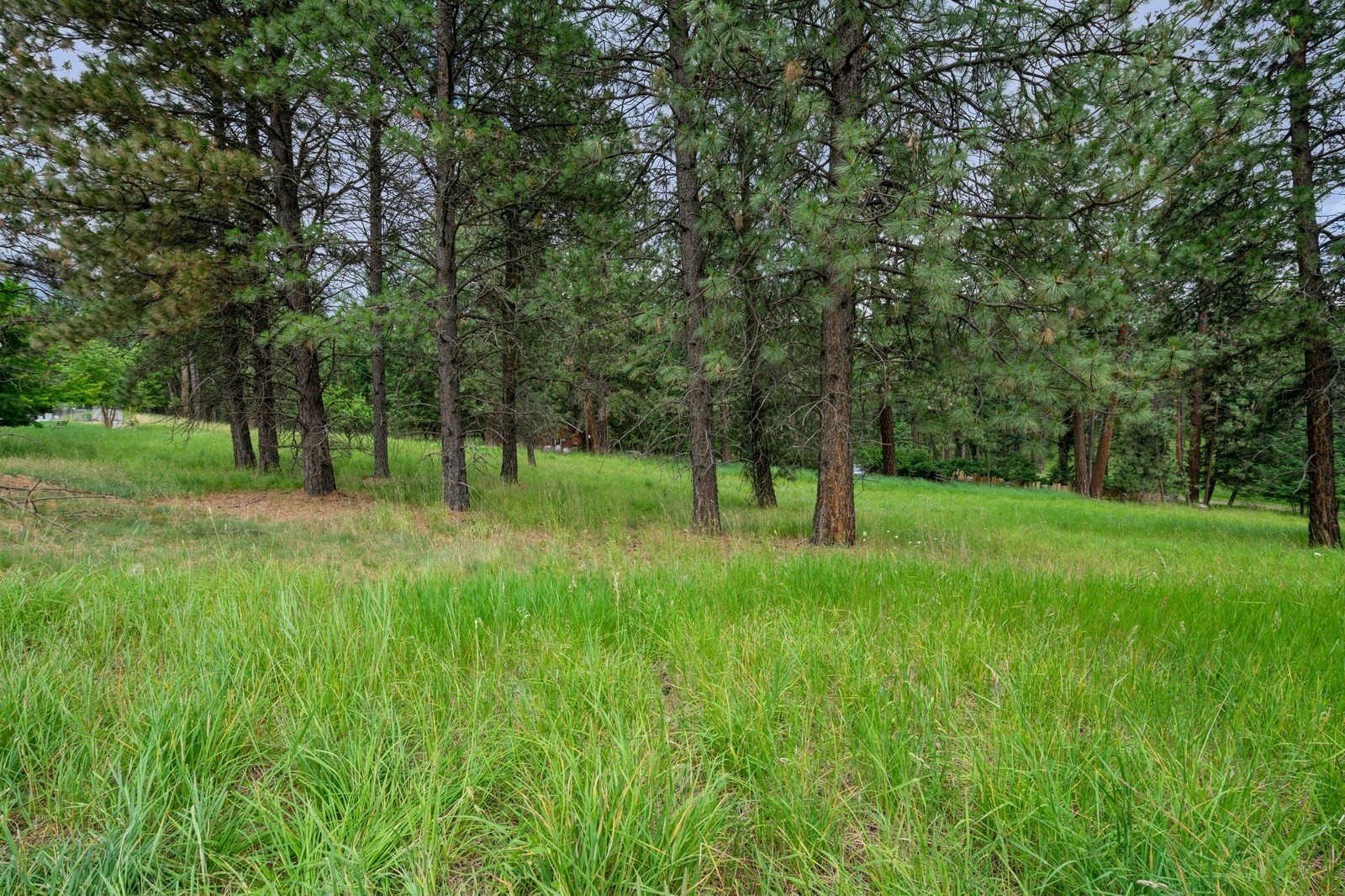 234 Stage Ridge Road Property Photo 4