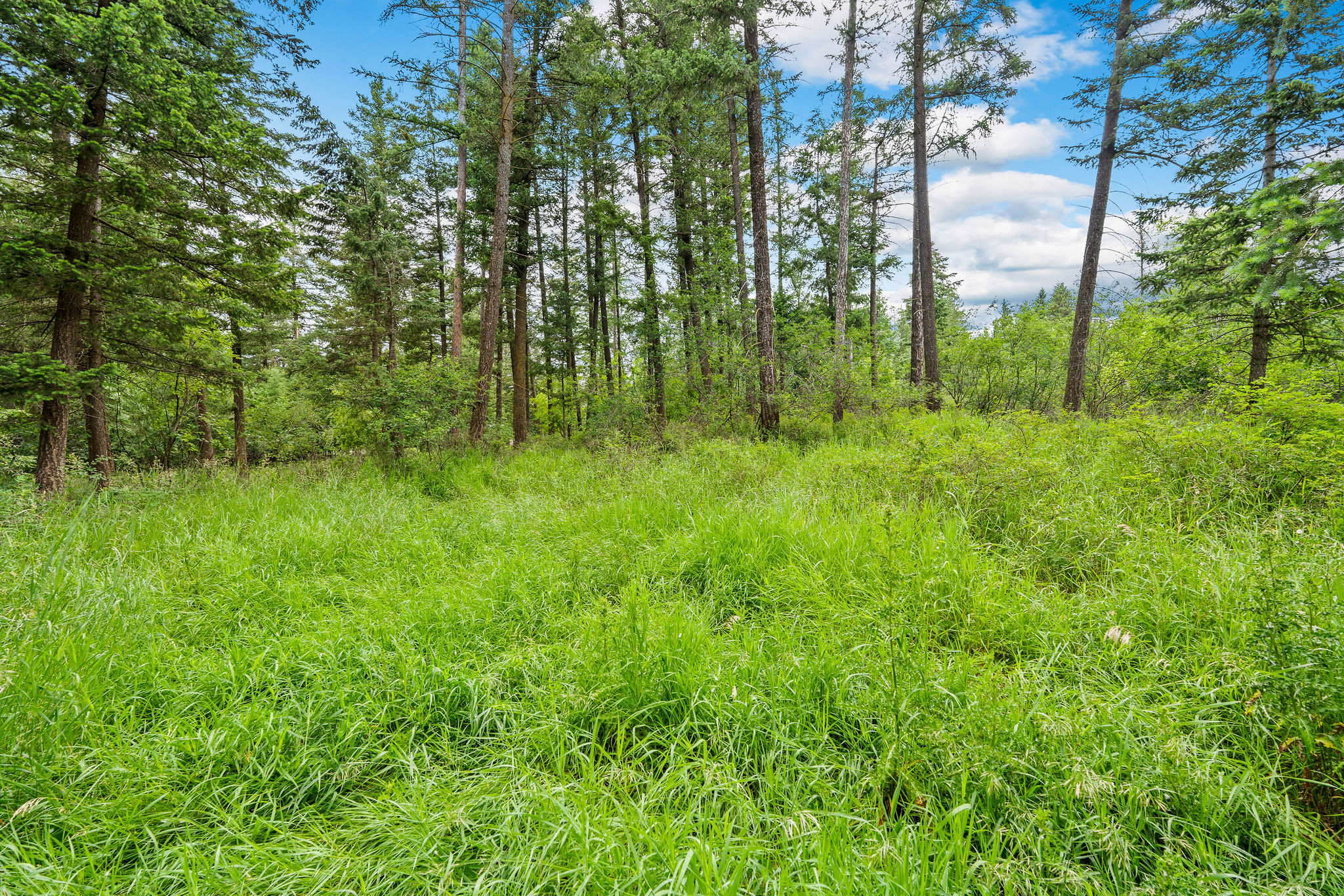 1255 & 1285 Tamarack Lane Property Photo 47