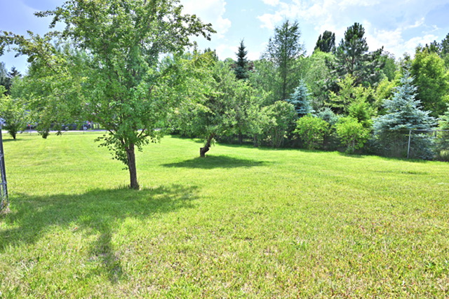 425 Terrace Drive Property Photo 1