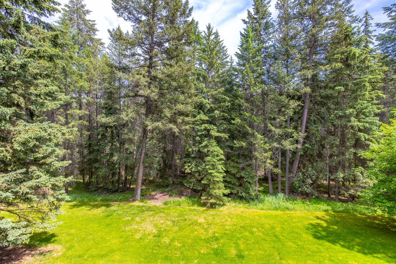 125 Wagon Wheel Road Property Photo 20