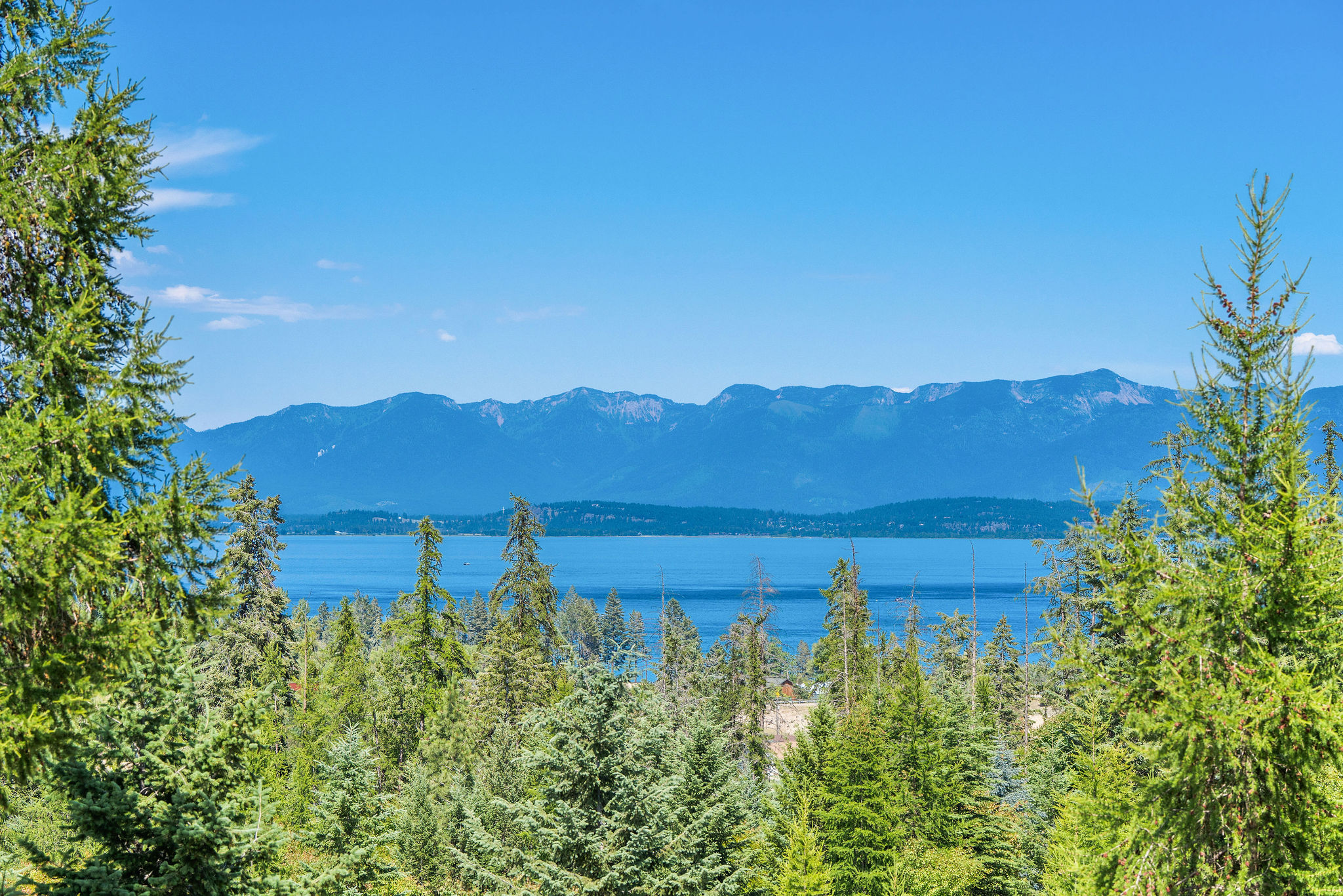 149 Monet Road Property Photo 45