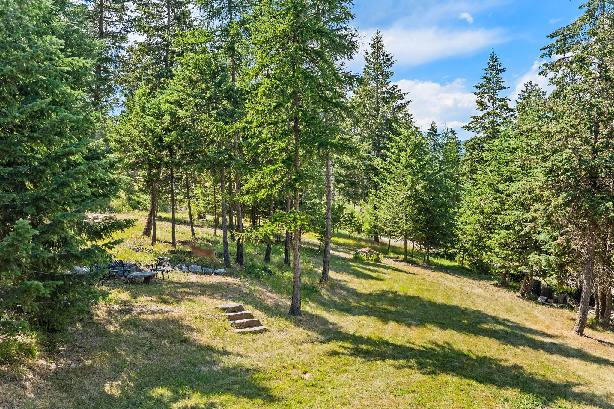 149 Monet Road Property Photo 49