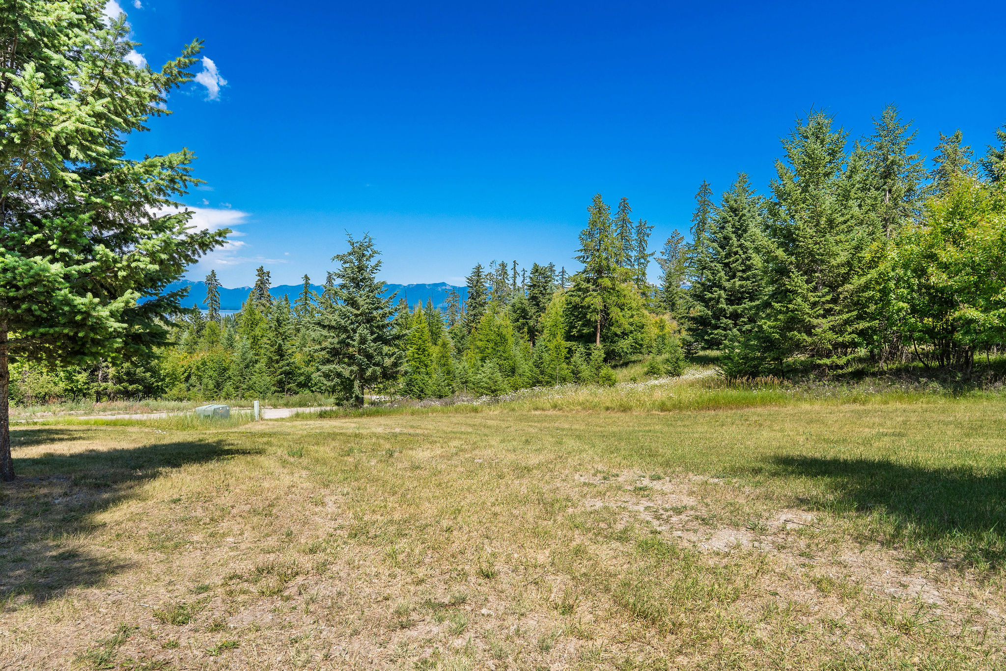 149 Monet Road Property Photo 57