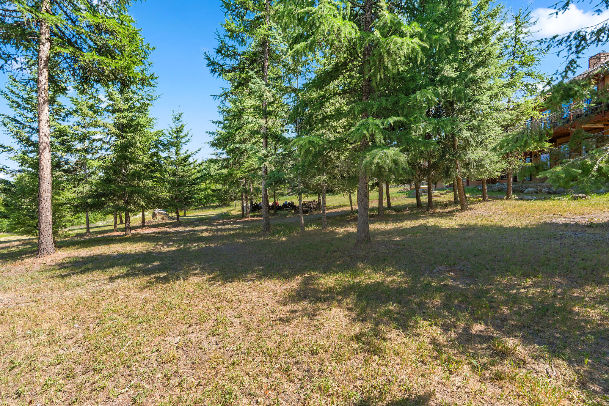 149 Monet Road Property Photo 58