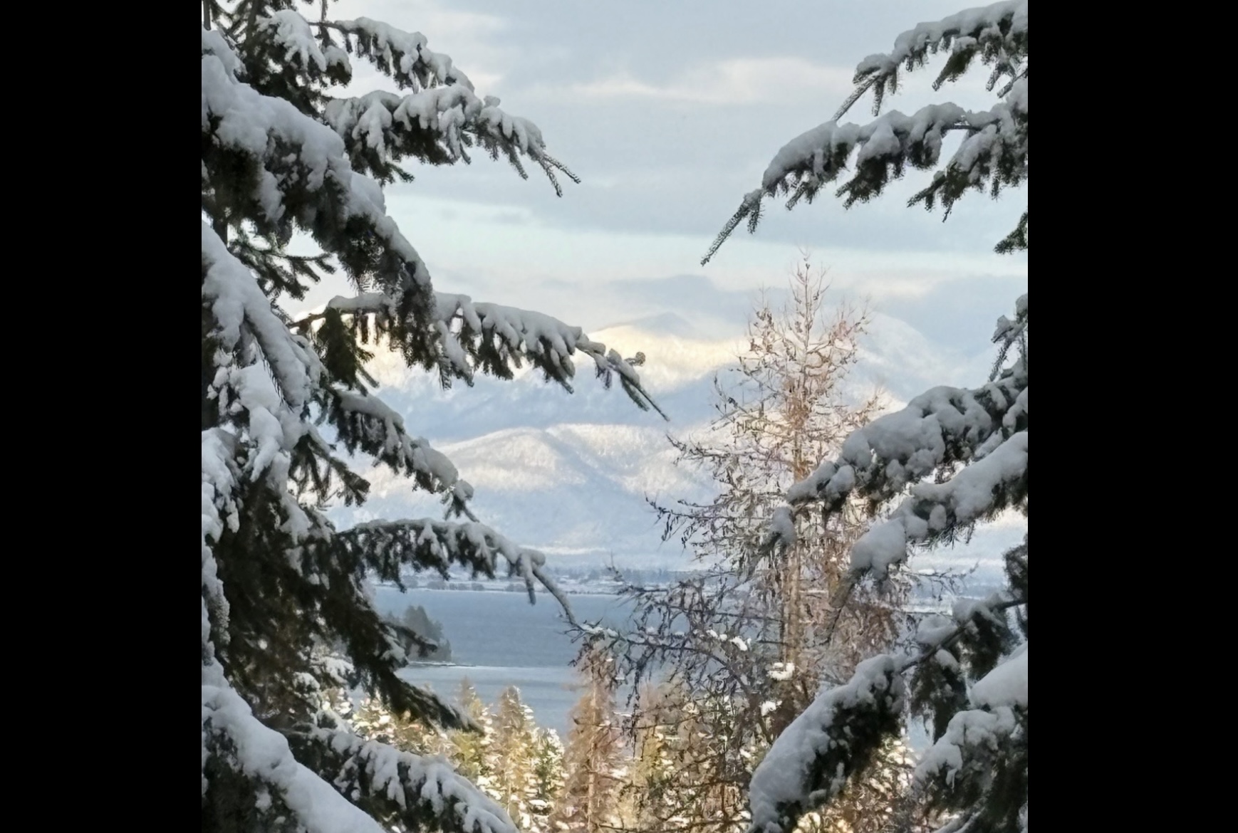 149 Monet Road Property Photo 81