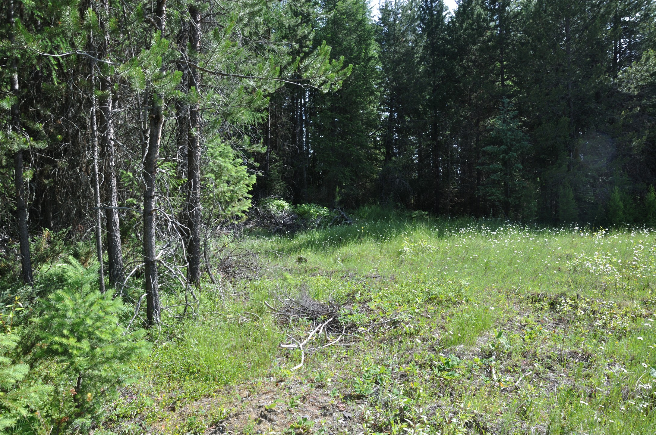 6065 - 6073 Us Hwy 93 N Property Photo 18