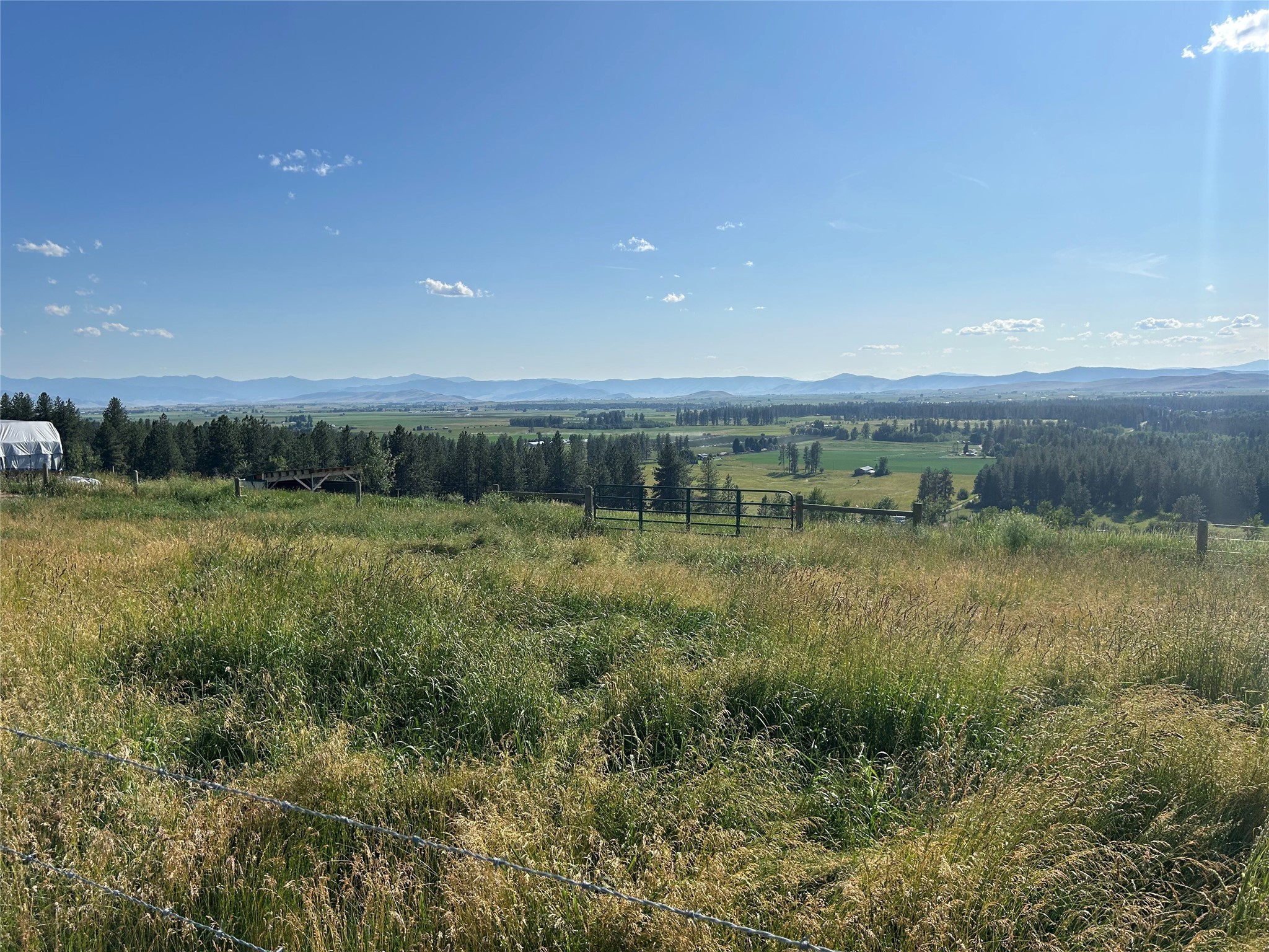 41909 Windy Ridge Lane Property Photo 3