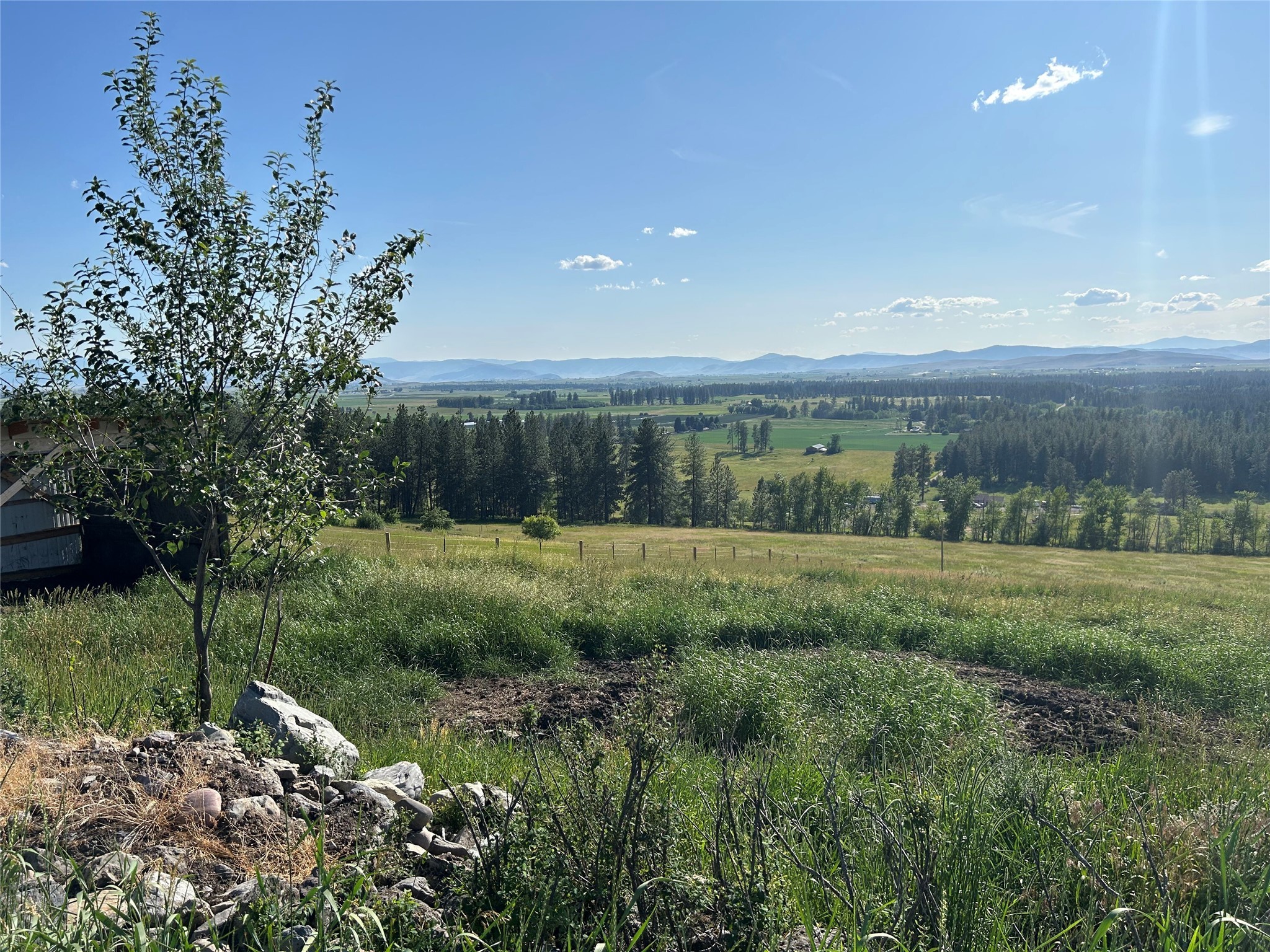 41909 Windy Ridge Lane Property Photo 45