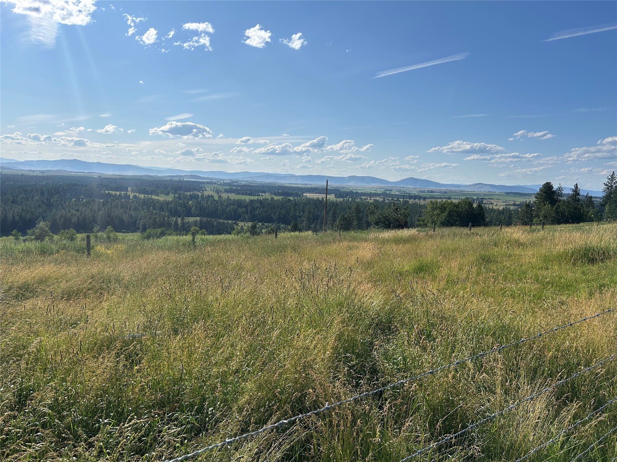 41909 Windy Ridge Lane Property Photo 46