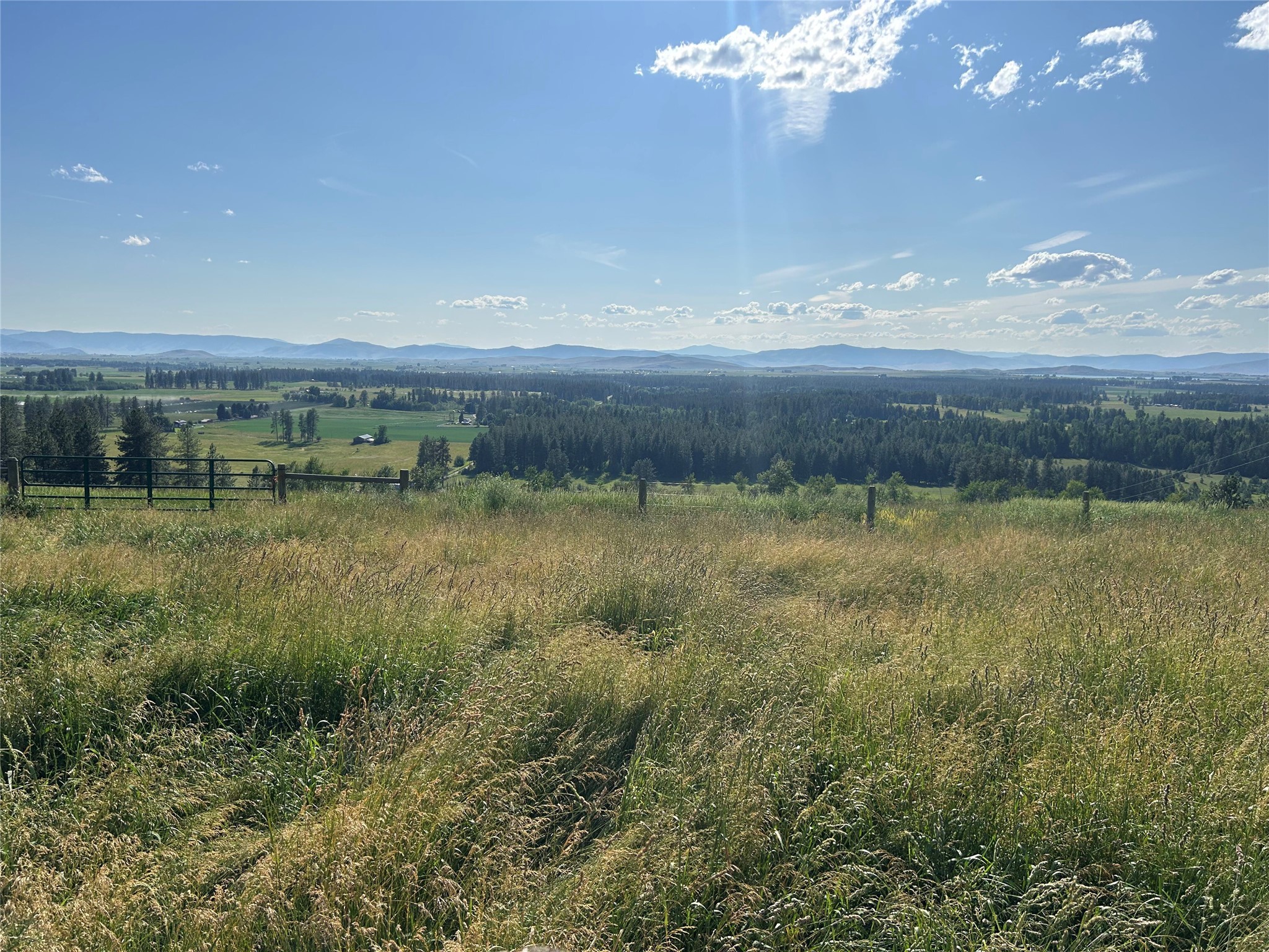 41909 Windy Ridge Lane Property Photo 47
