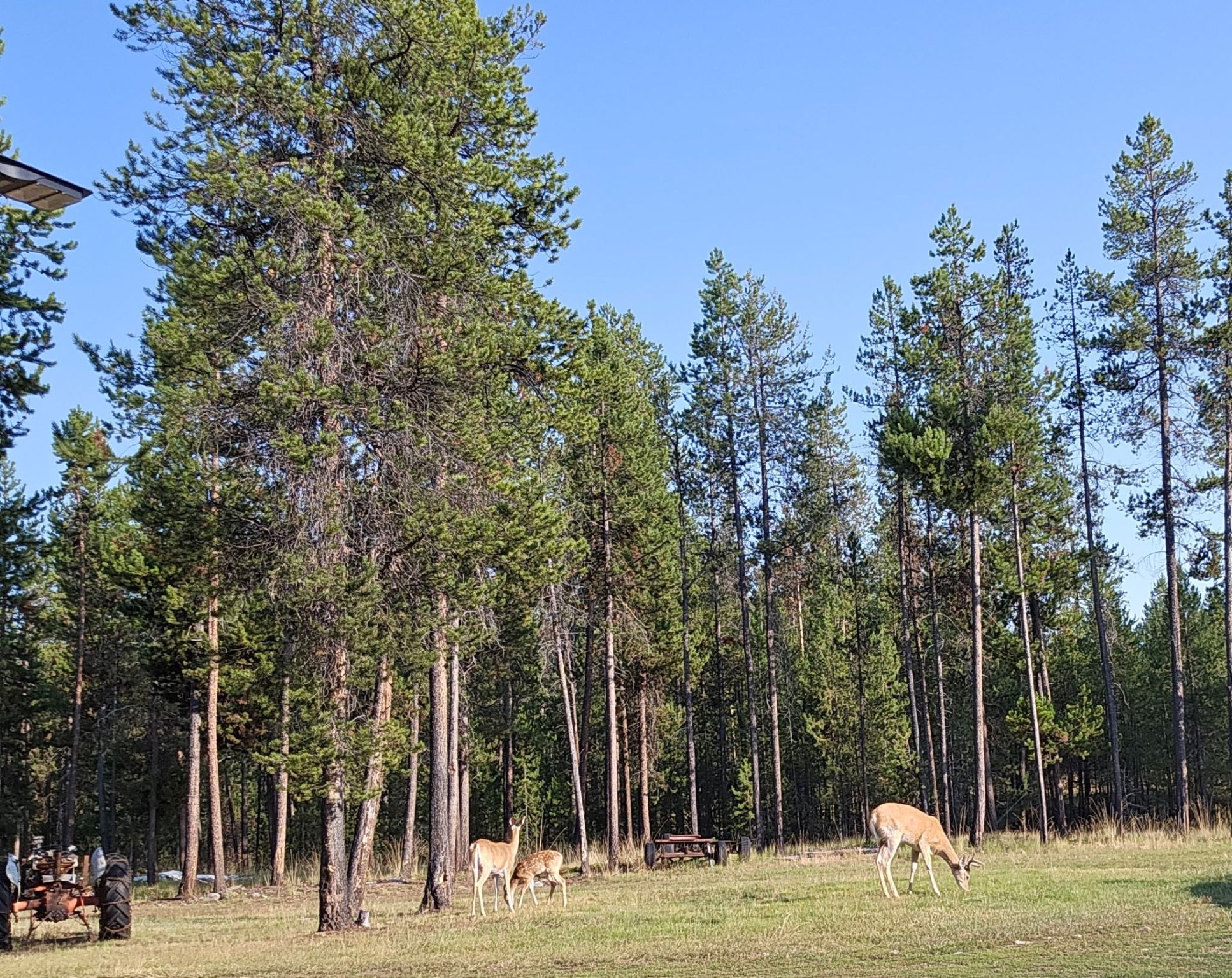 957 Badger Hollow Trail Property Photo 48