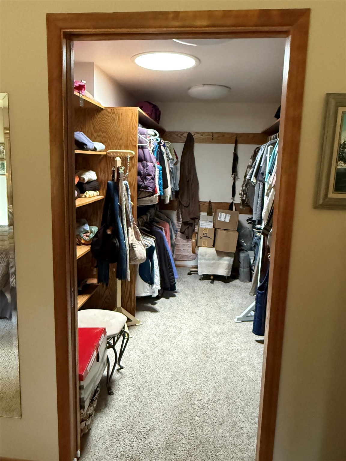 260 Luscher Drive Property Photo 75