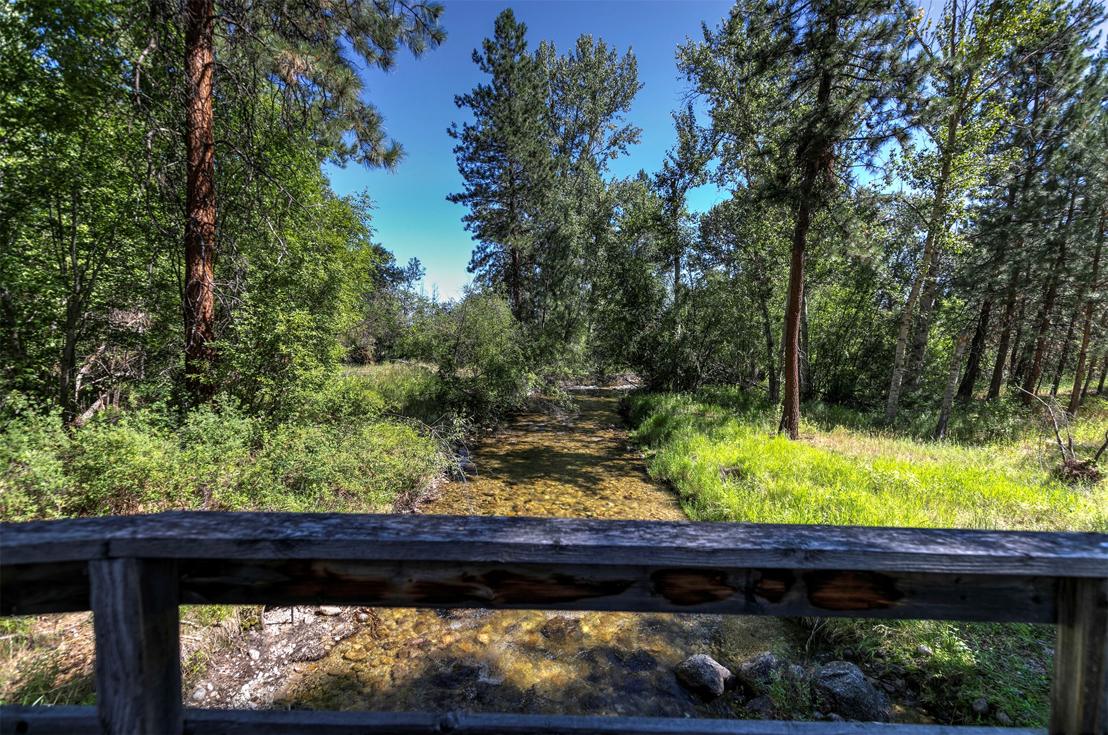 236 Oso Trail Property Photo 9