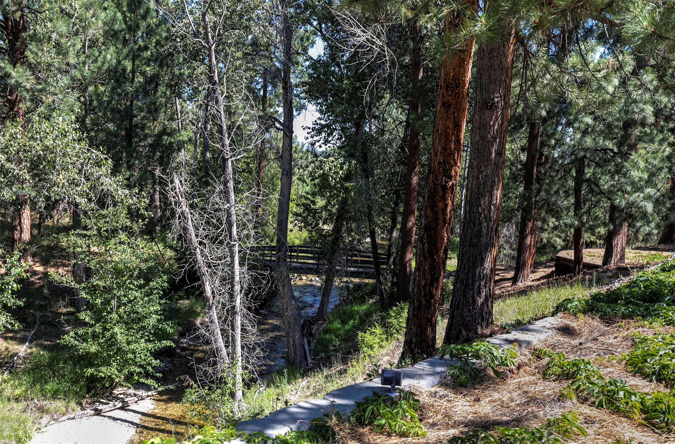 236 Oso Trail Property Photo 11