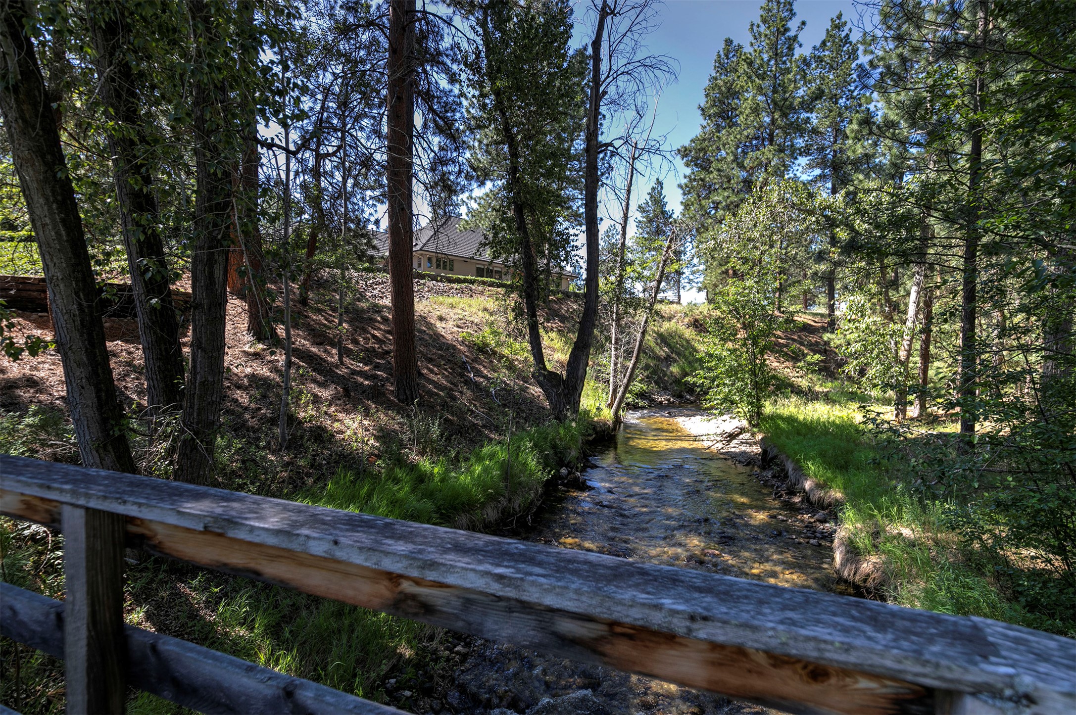 236 Oso Trail Property Photo 12