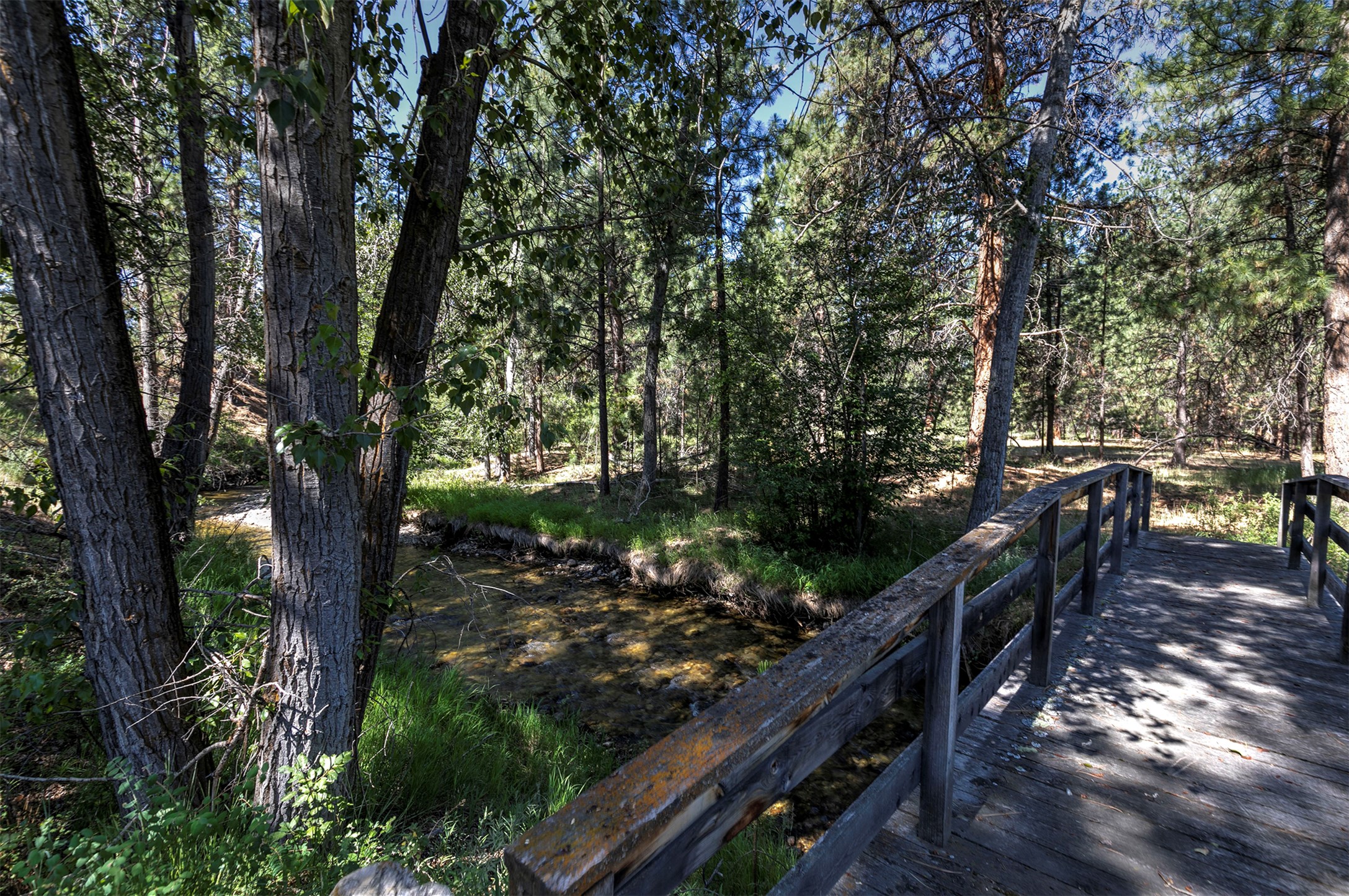 236 Oso Trail Property Photo 13
