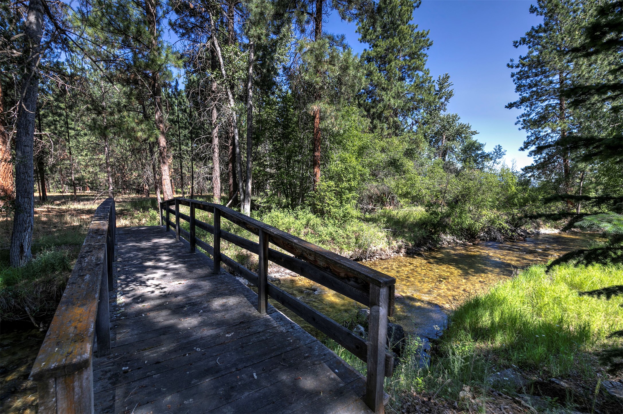 236 Oso Trail Property Photo 14