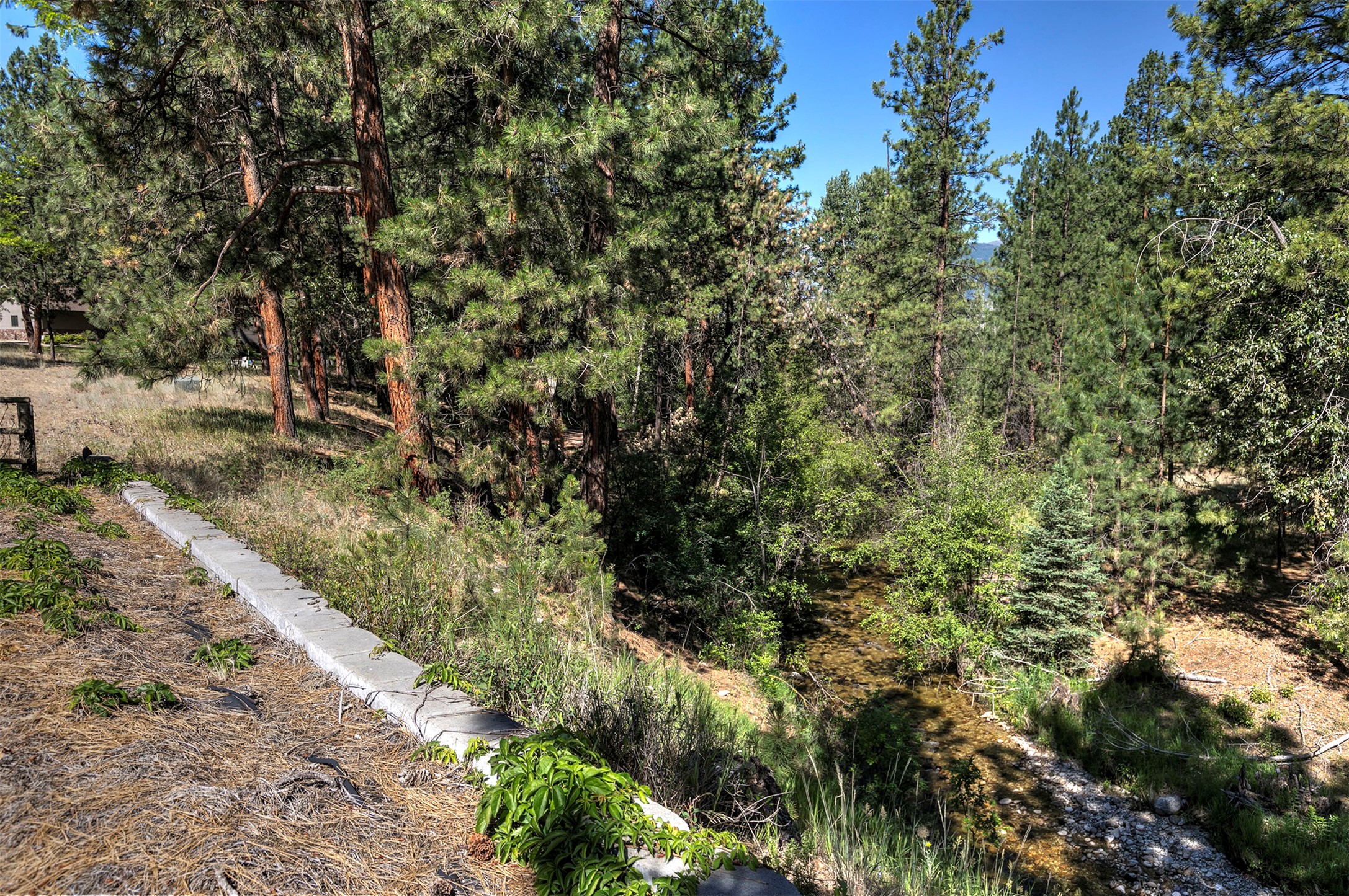 236 Oso Trail Property Photo 59
