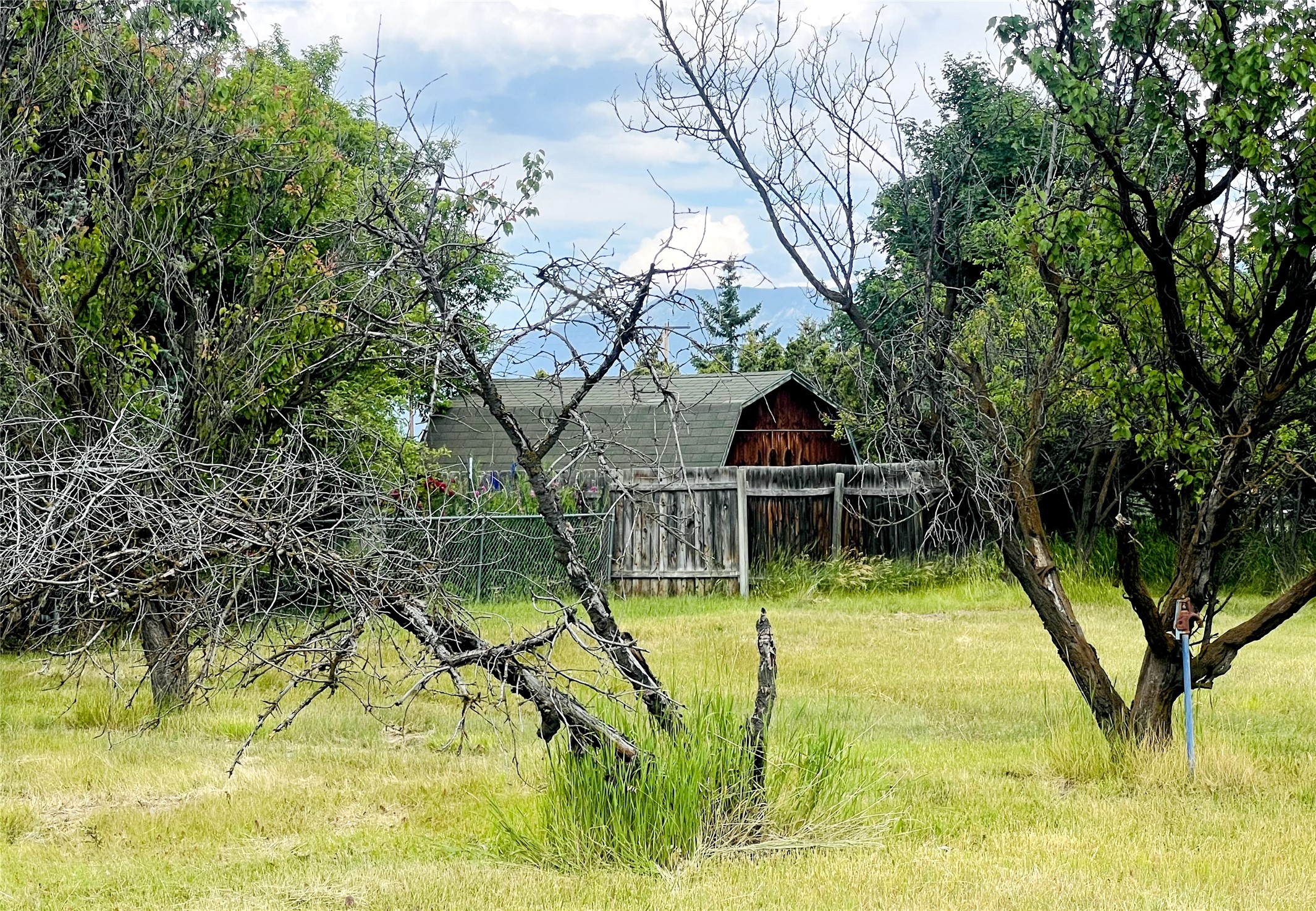 847 E Washington Street Property Photo 2