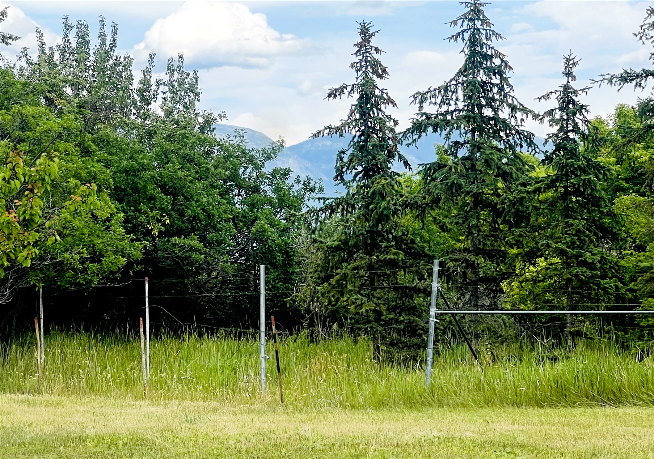 847 E Washington Street Property Photo 3