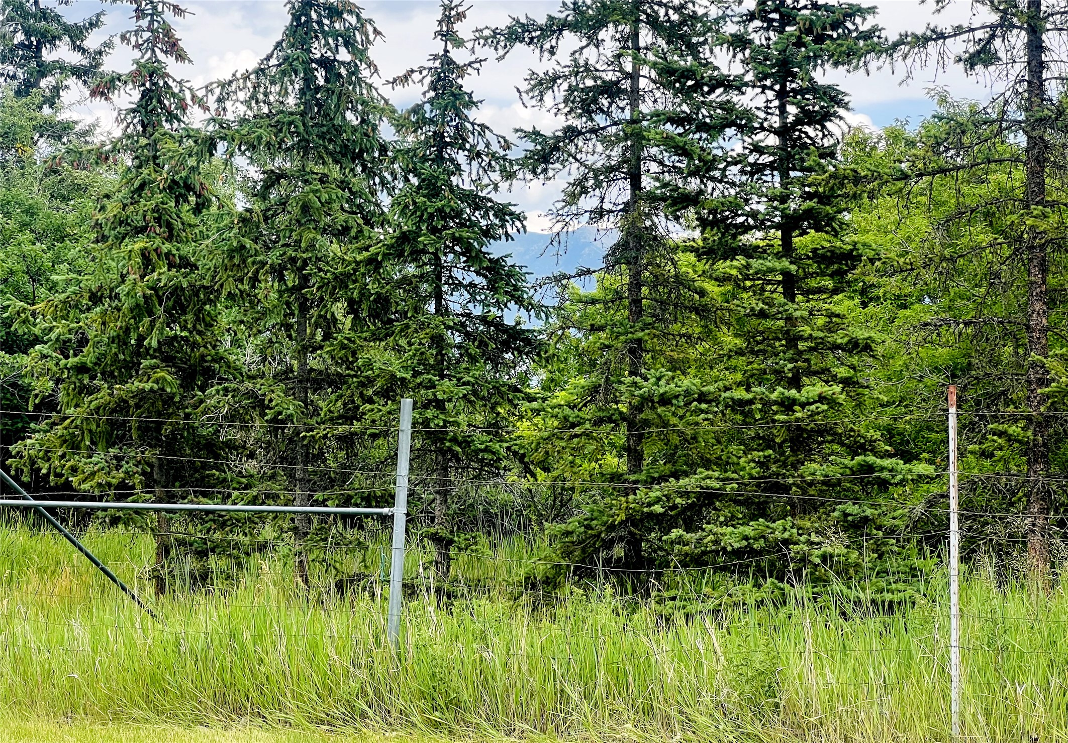 847 E Washington Street Property Photo 4