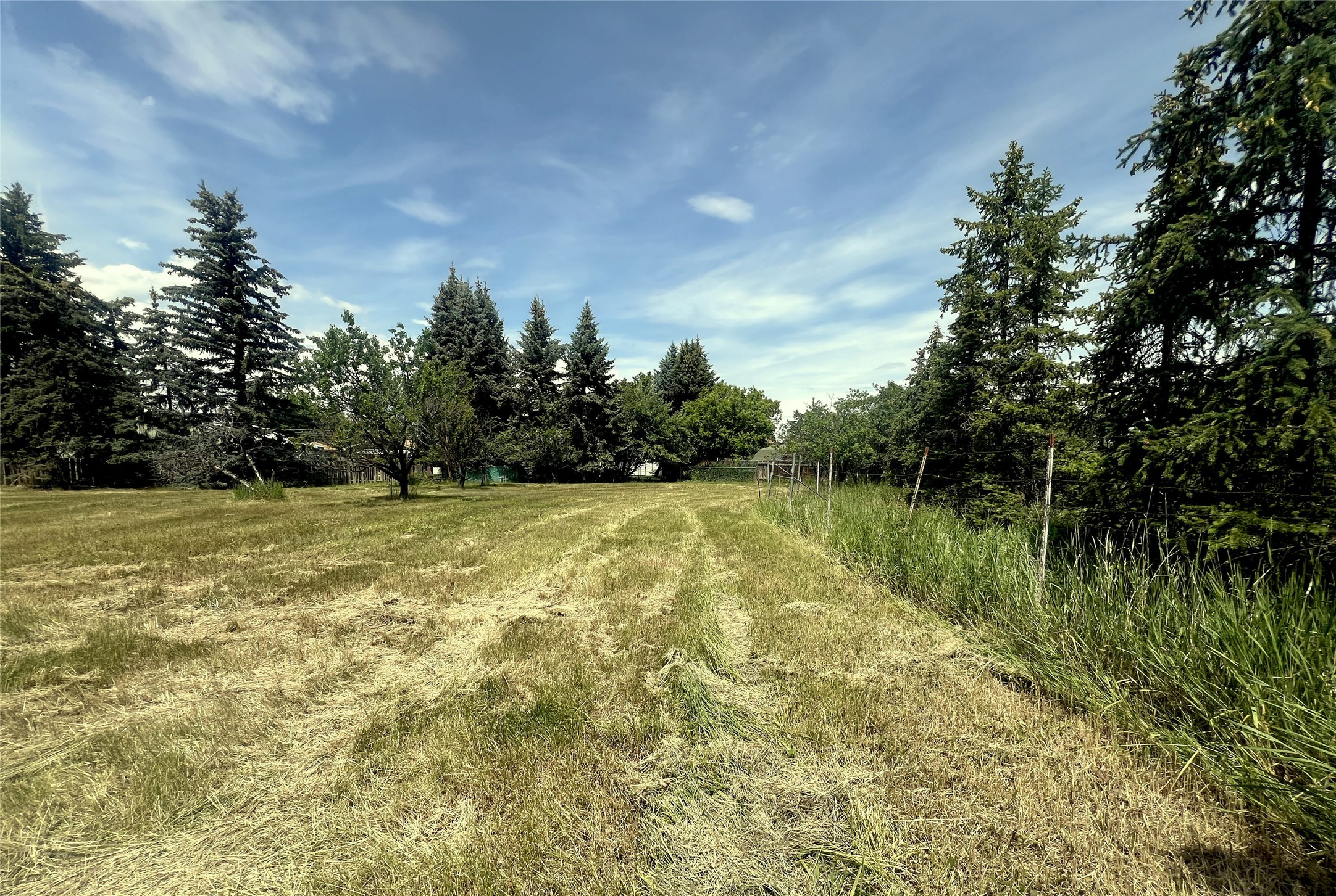 847 E Washington Street Property Photo 5