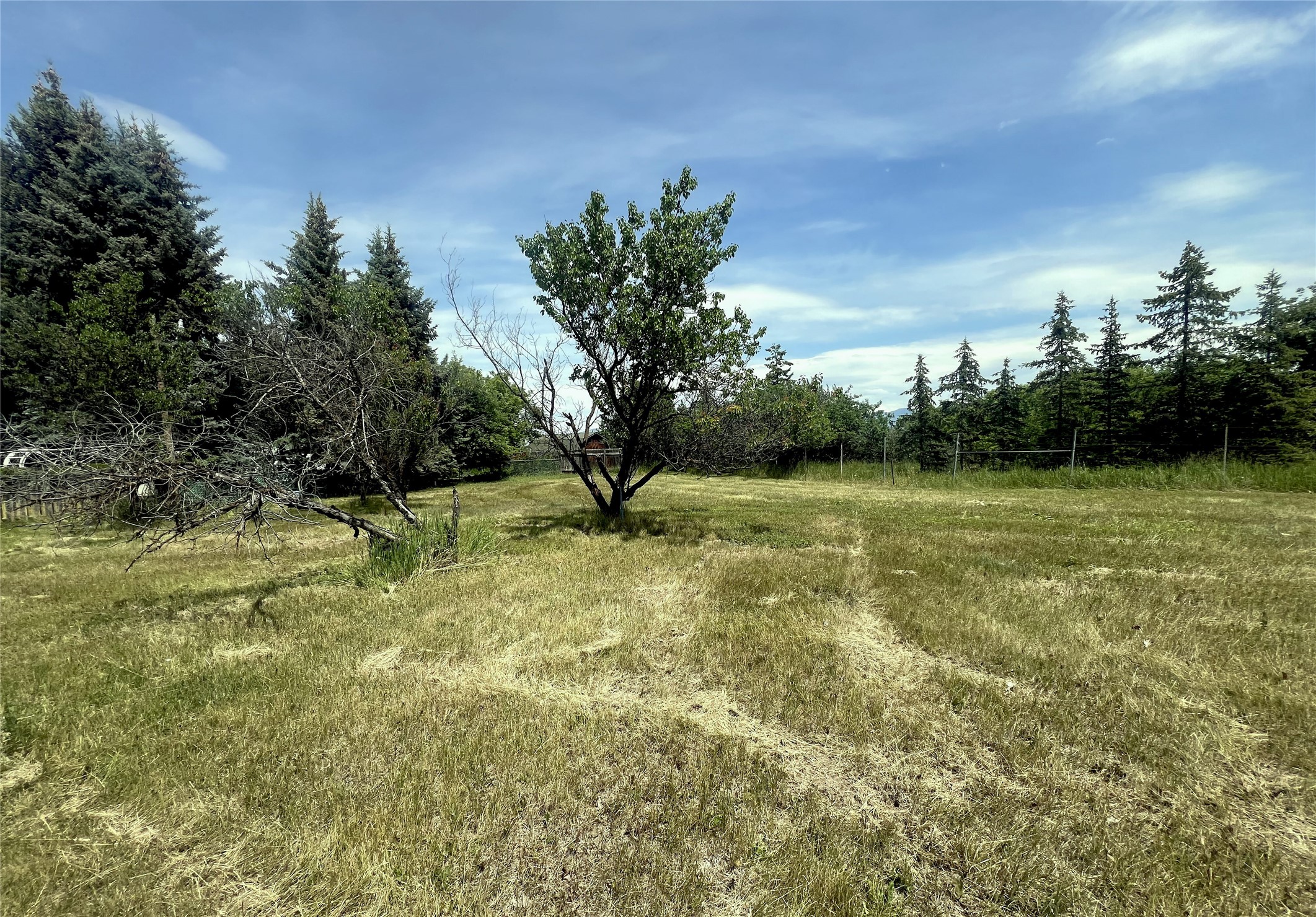 847 E Washington Street Property Photo 7