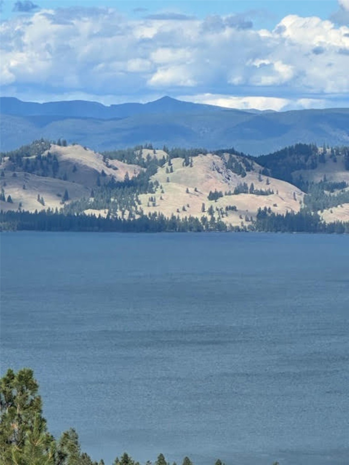 28124 Early Dawn Drive Property Photo 15
