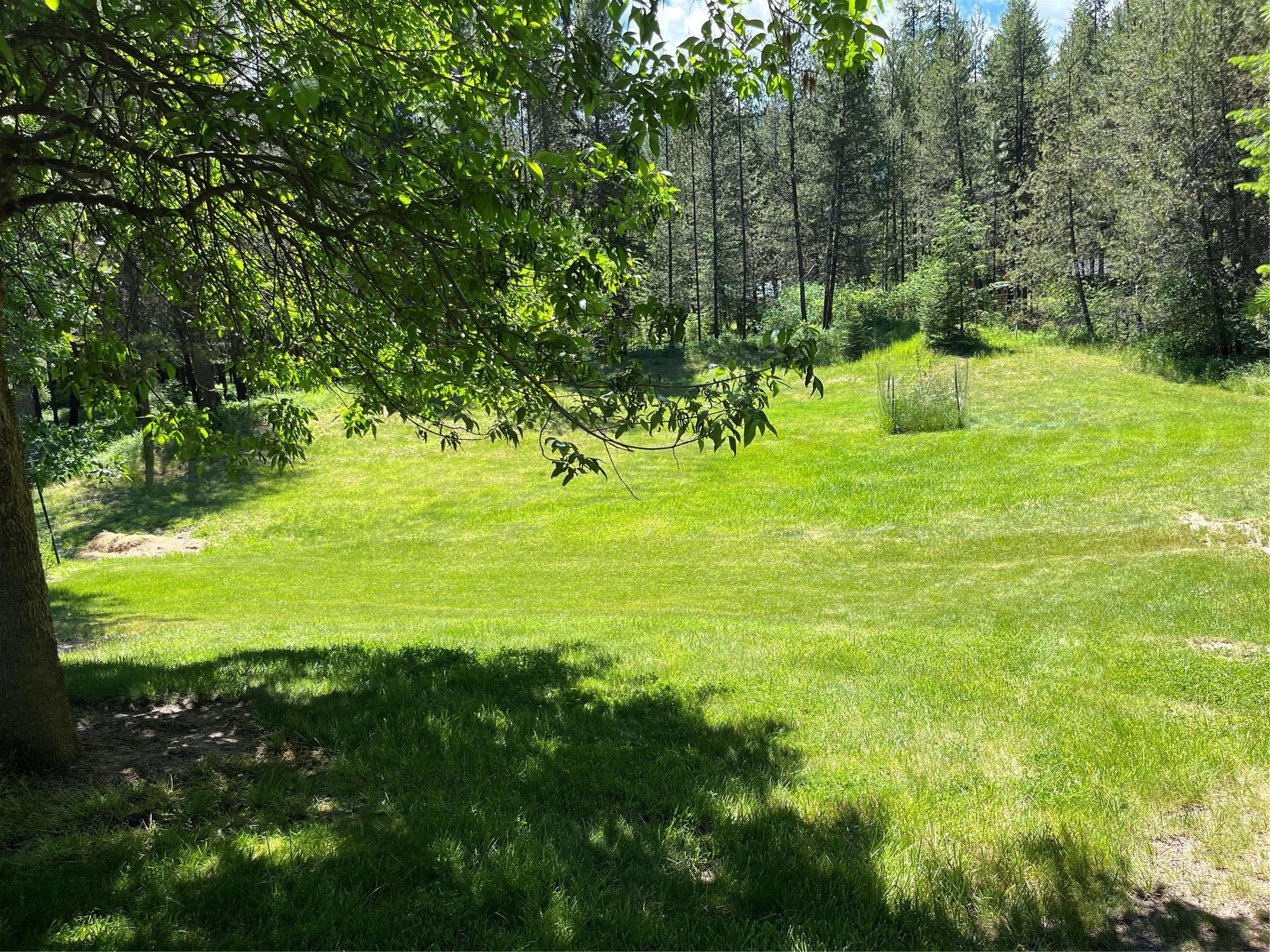 176 Cougar Meadow Drive Property Photo 15
