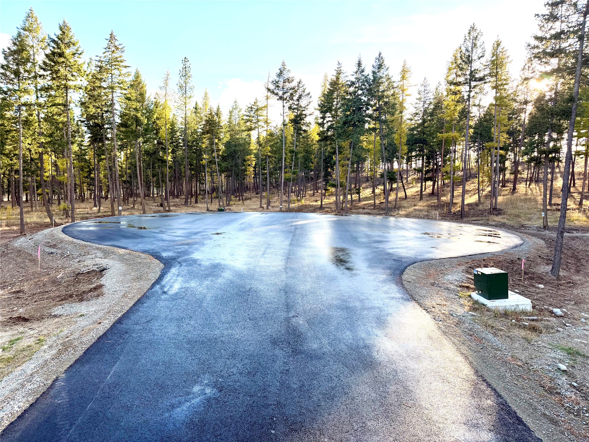 518 Northern Larch Trail Lot 62 Property Photo 95