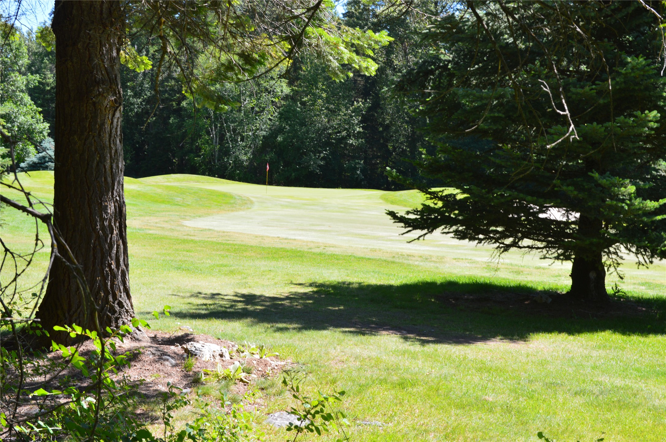 315 Gleneagles Trail Property Photo 1