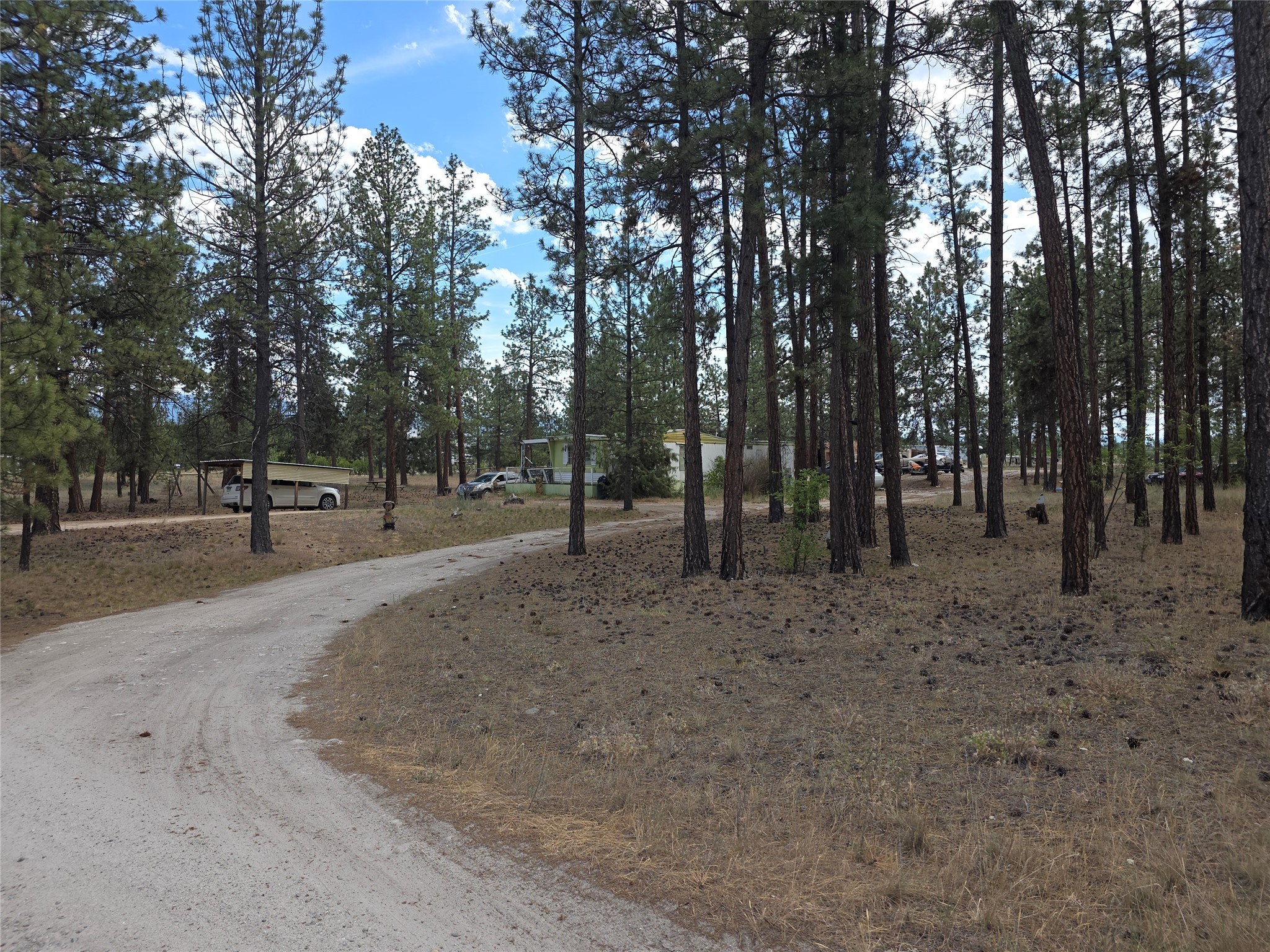 125 Pine Drive Property Photo 1