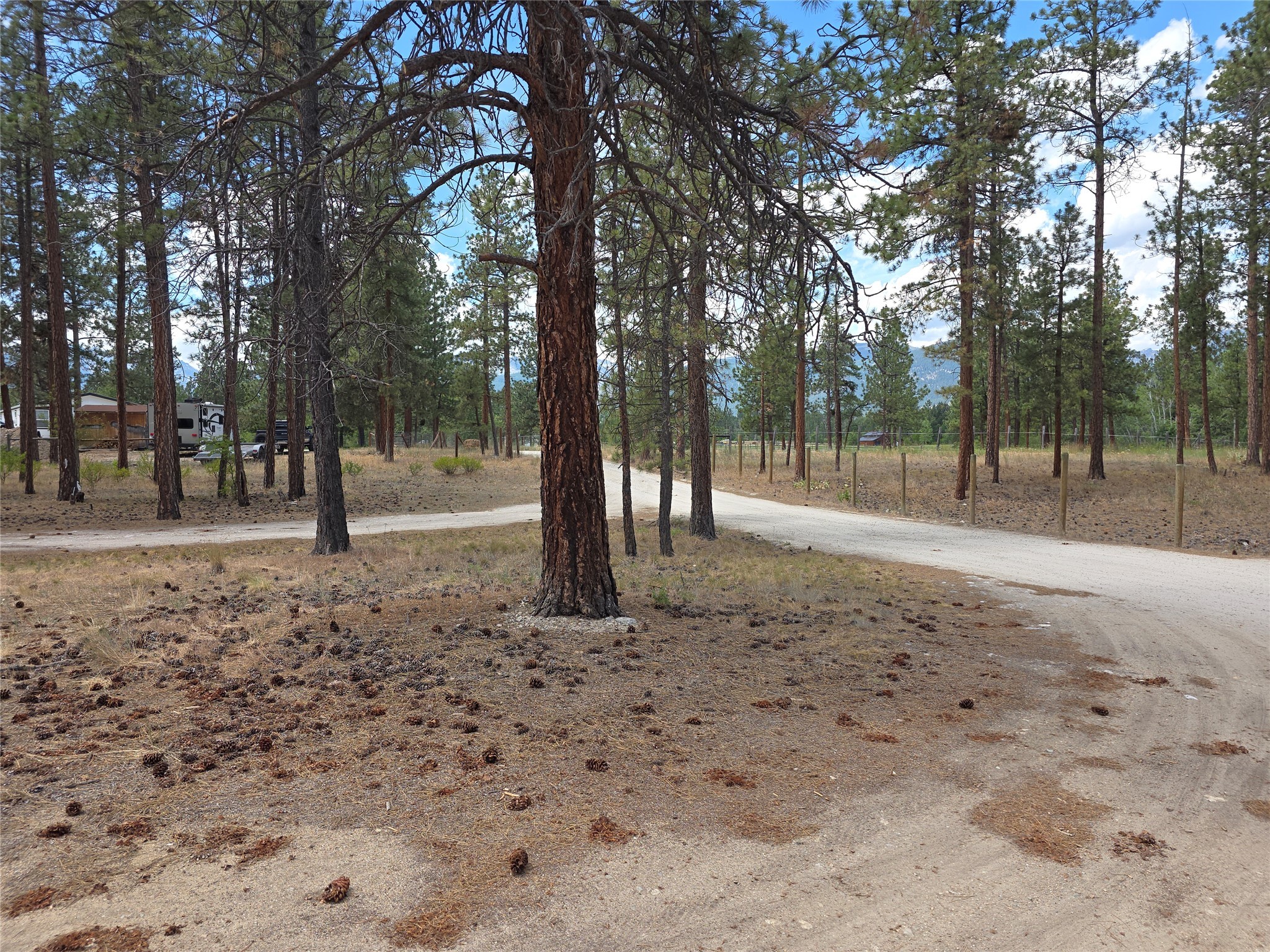 125 Pine Drive Property Photo 4