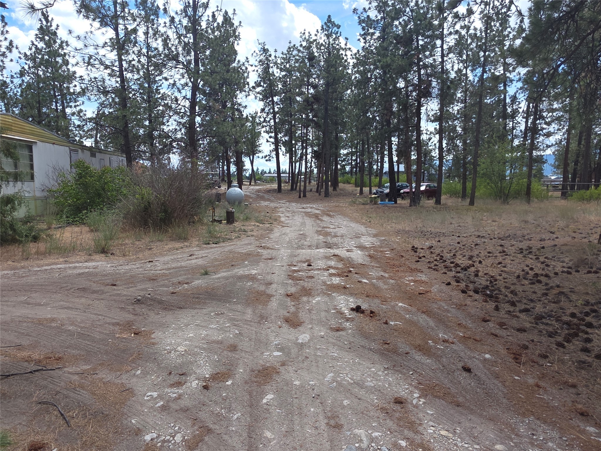 125 Pine Drive Property Photo 5